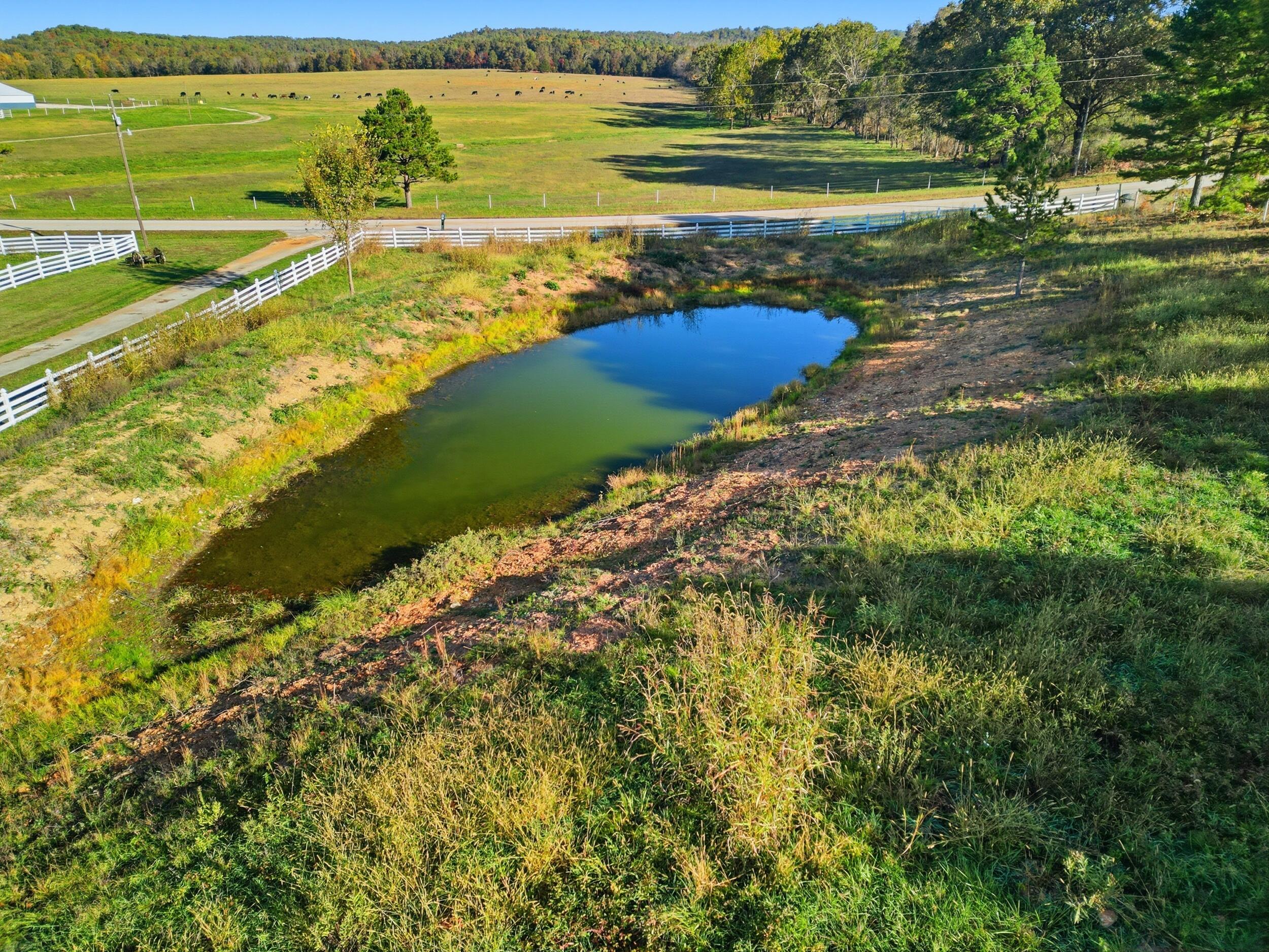 12182 State Highway Ee Property Photo 61