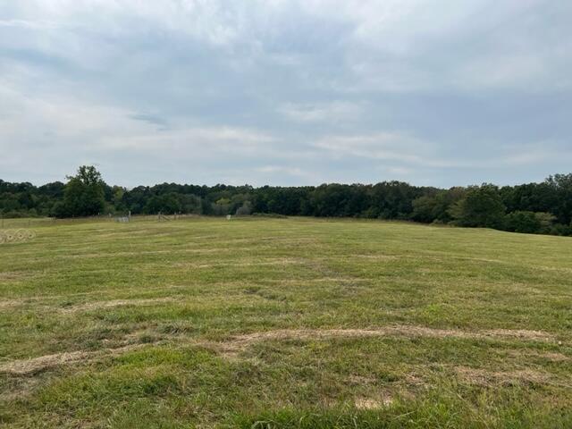 15442 Boiling Springs Road Property Photo