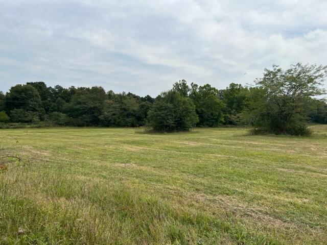 15442 Boiling Springs Road Property Photo 2