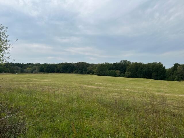 15442 Boiling Springs Road Property Photo 3