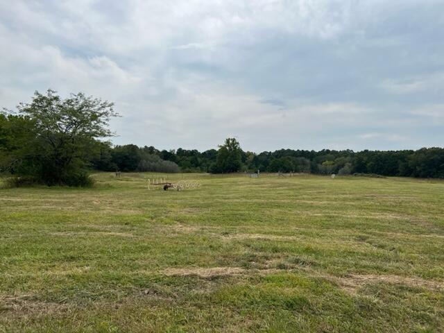 15442 Boiling Springs Road Property Photo 4