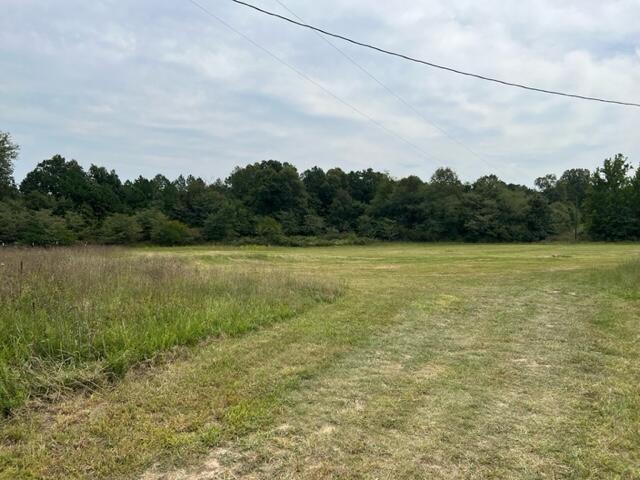 15442 Boiling Springs Road Property Photo 5