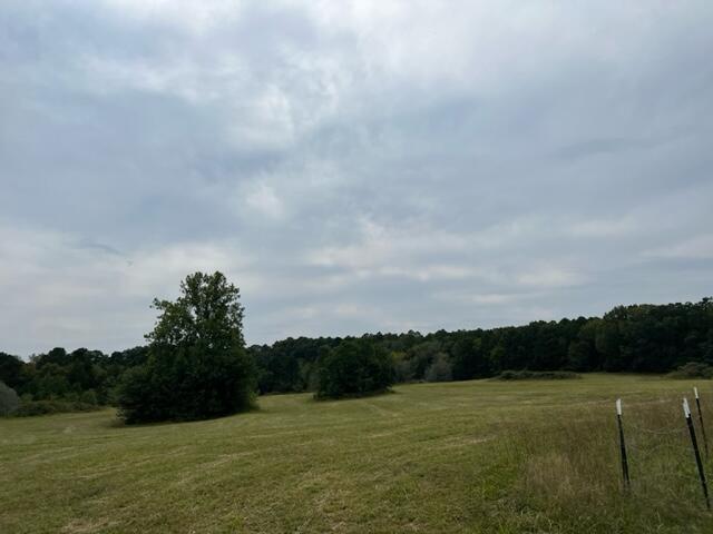 15442 Boiling Springs Road Property Photo 7