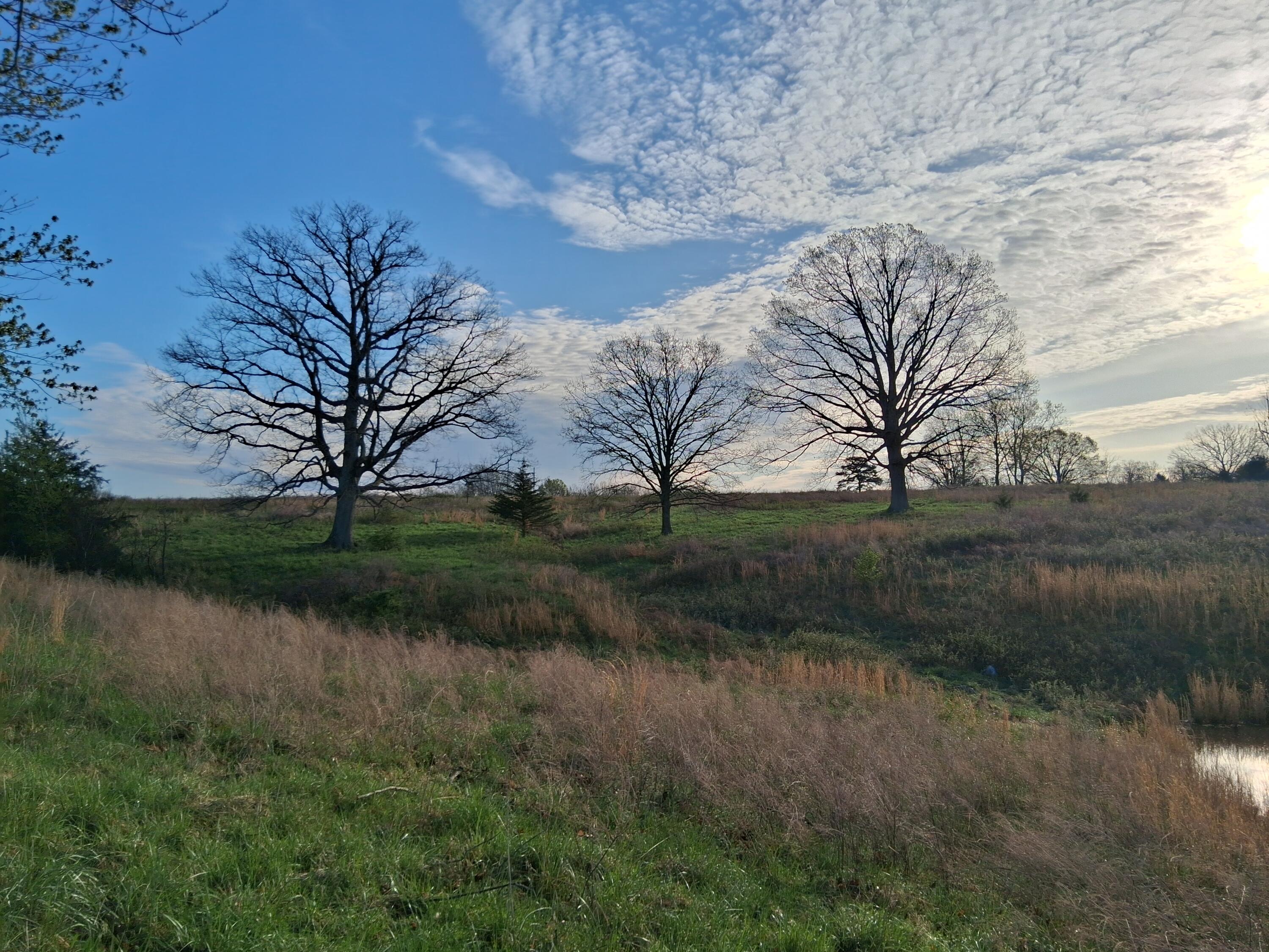 000 County Road 7080 Property Photo 3