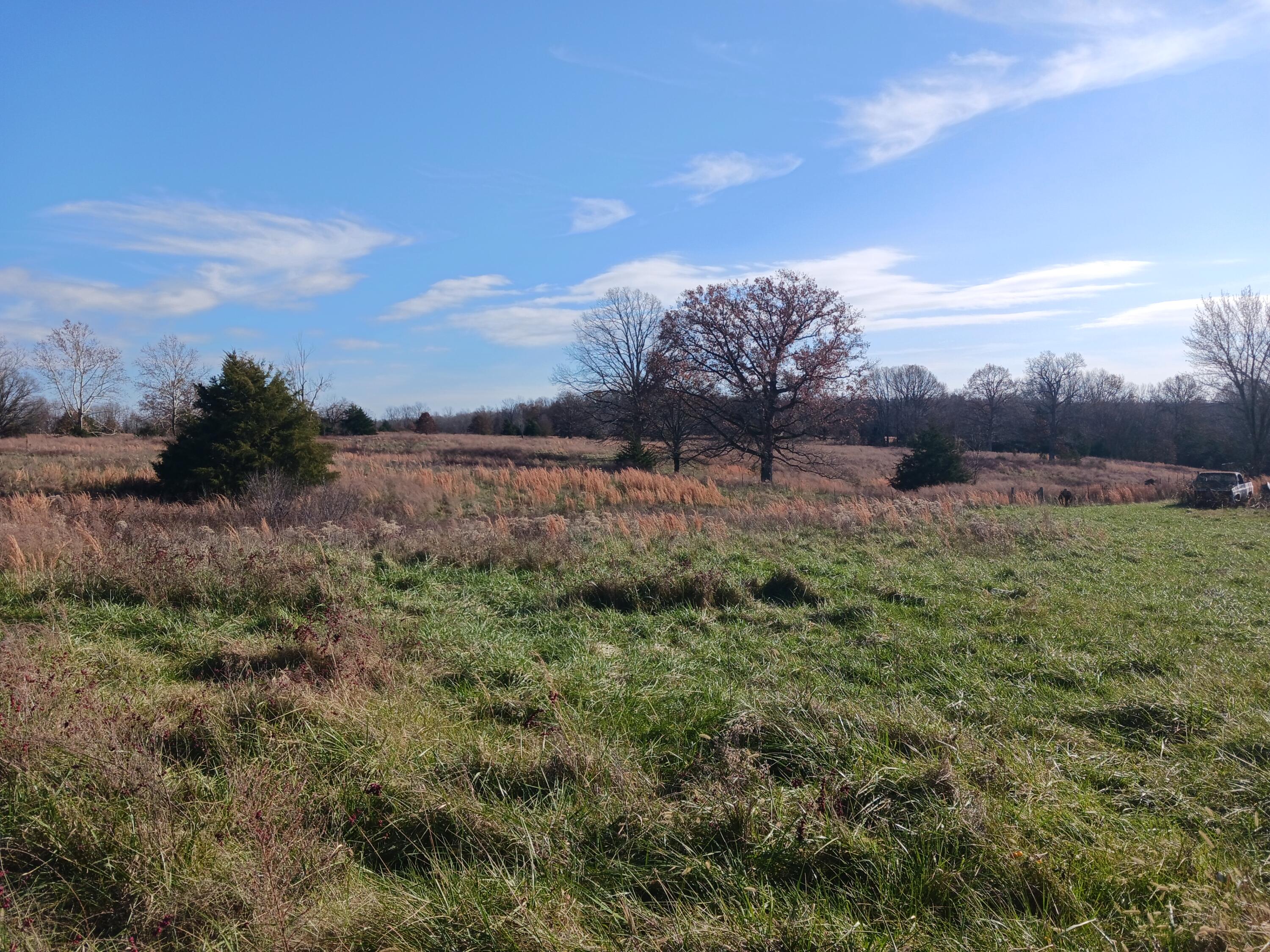 000 County Road 7080 Property Photo 6