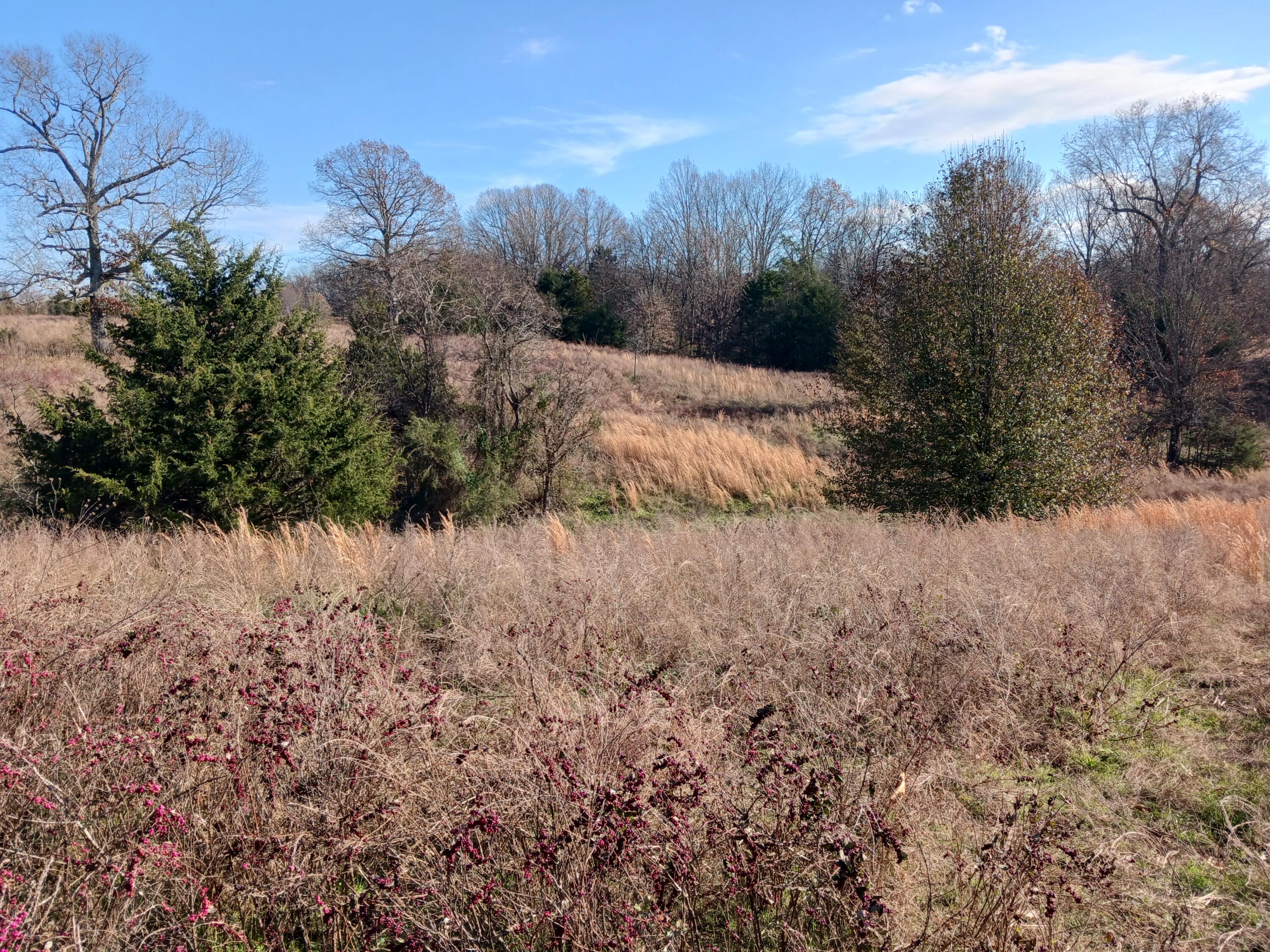 000 County Road 7080 Property Photo 7