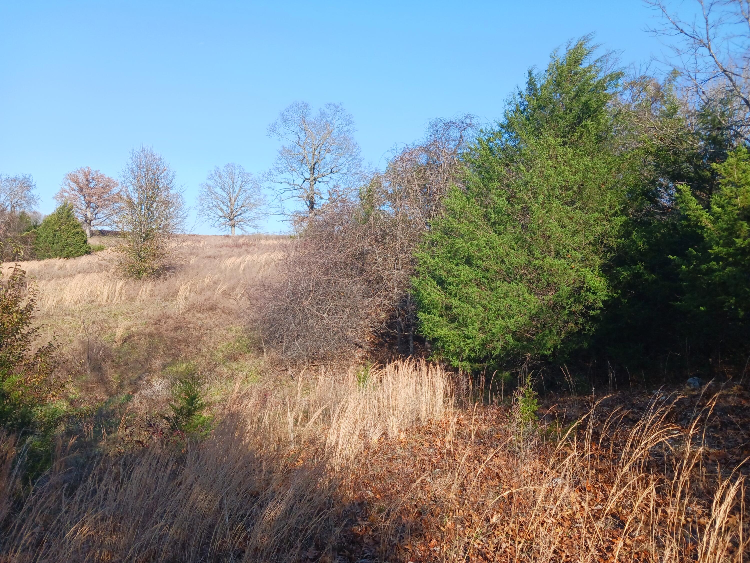 000 County Road 7080 Property Photo 8