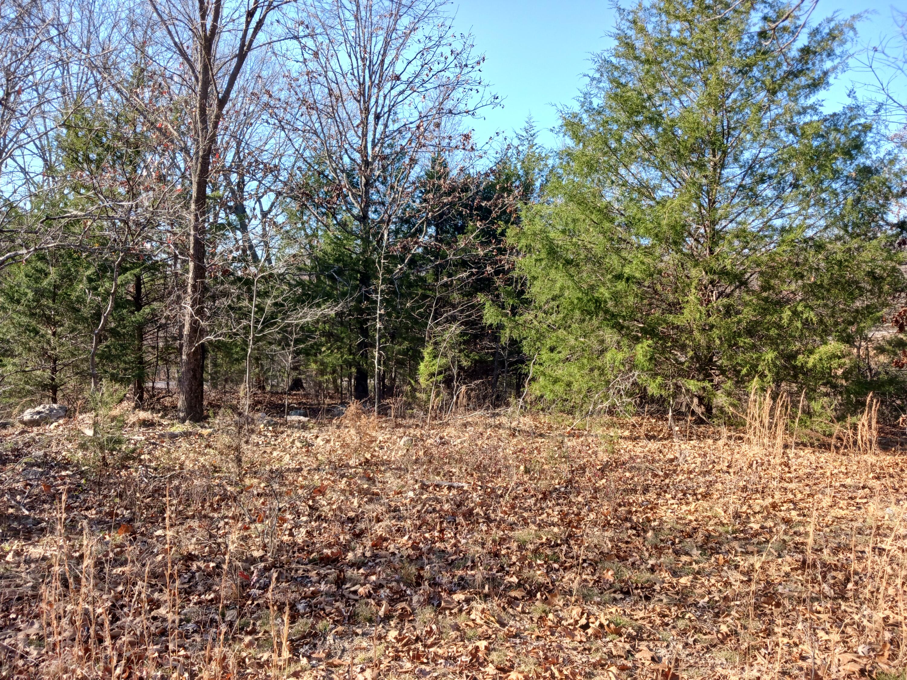 000 County Road 7080 Property Photo 9