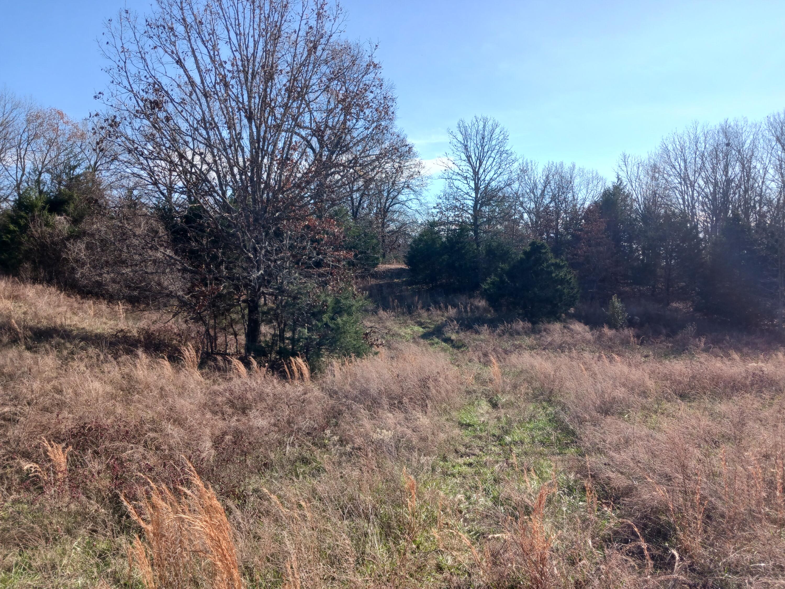 000 County Road 7080 Property Photo 10