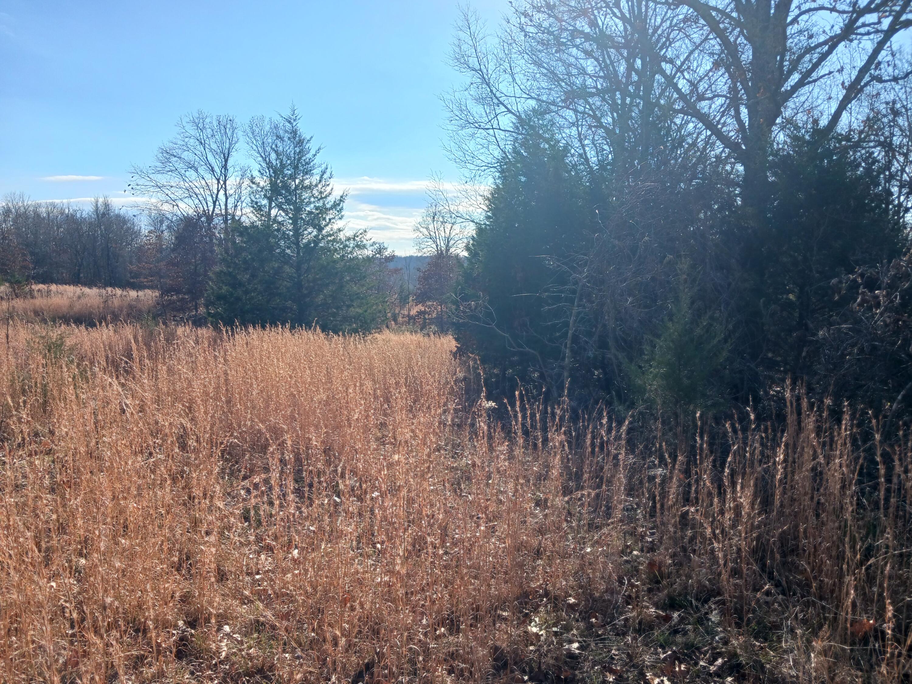 000 County Road 7080 Property Photo 11