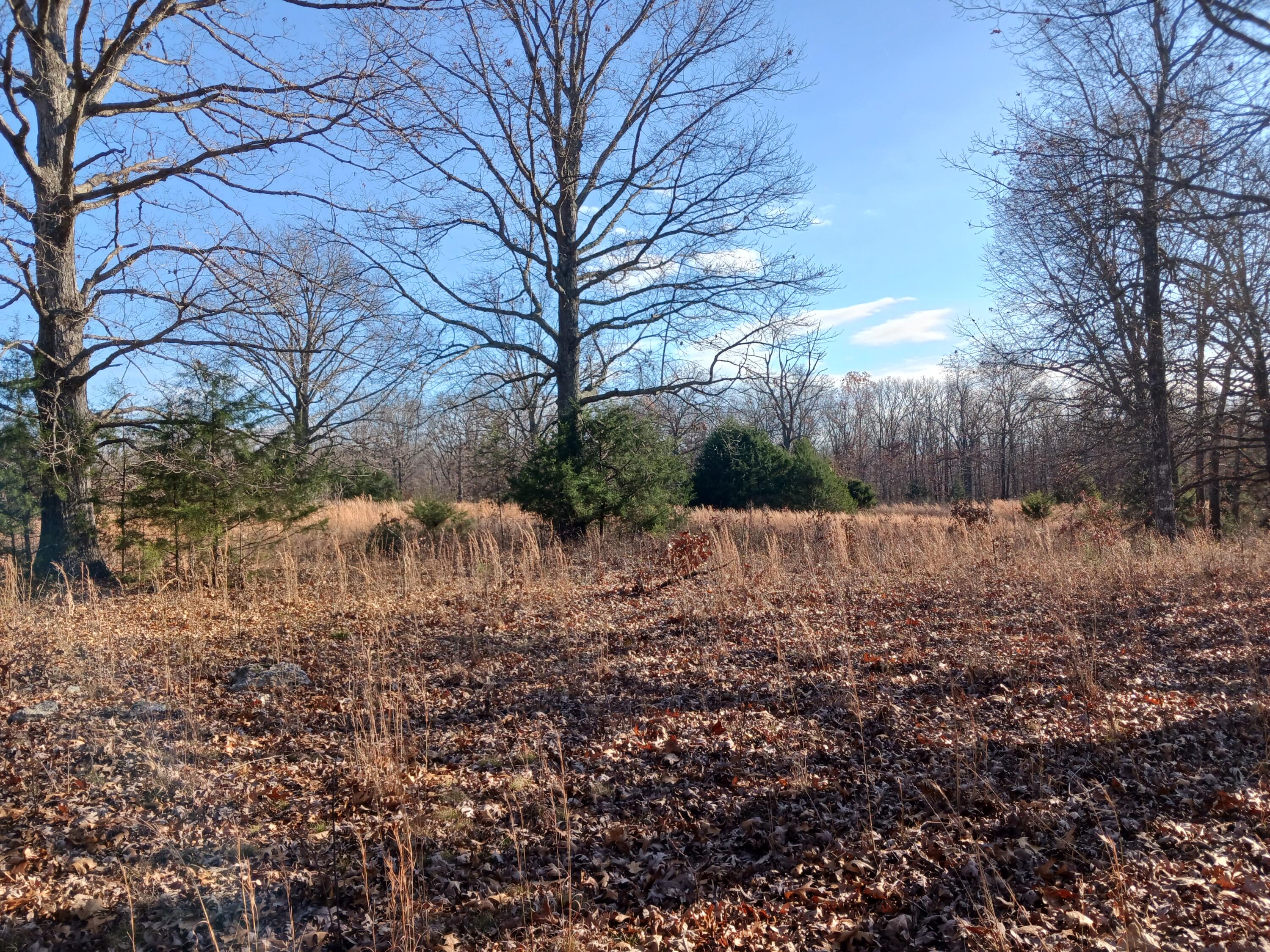 000 County Road 7080 Property Photo 12