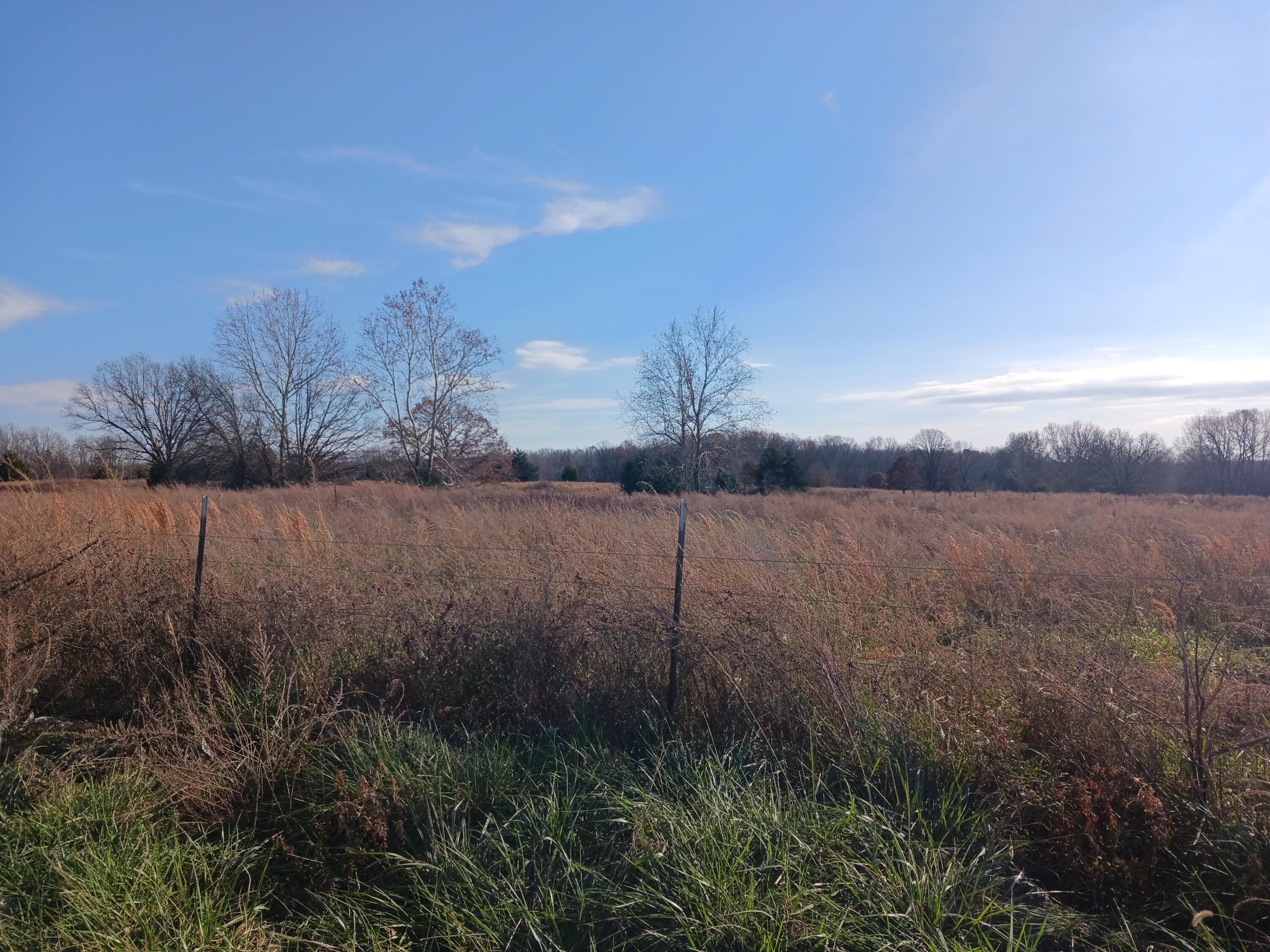 000 County Road 7080 Property Photo 13