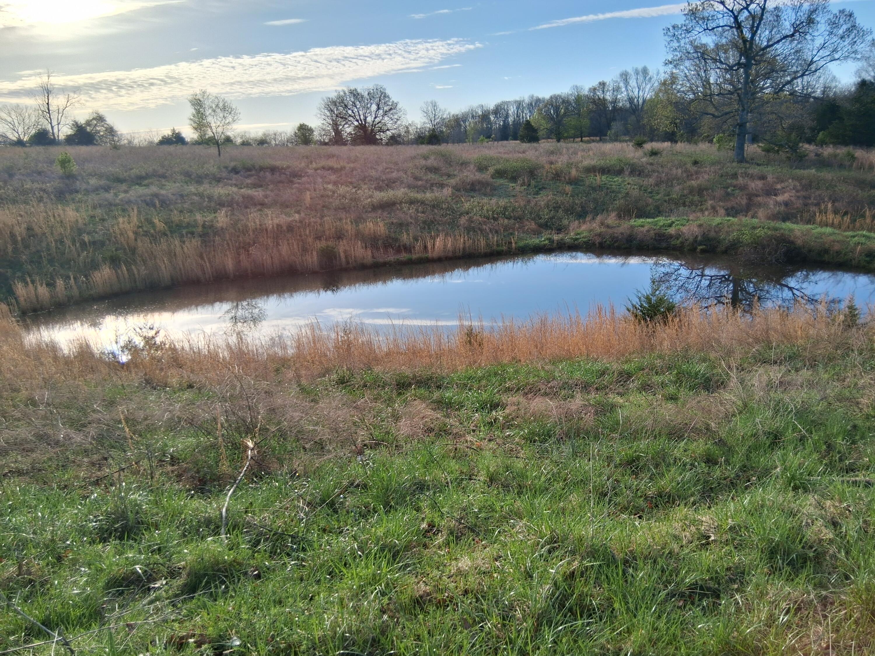 000 County Road 7080 Property Photo 16