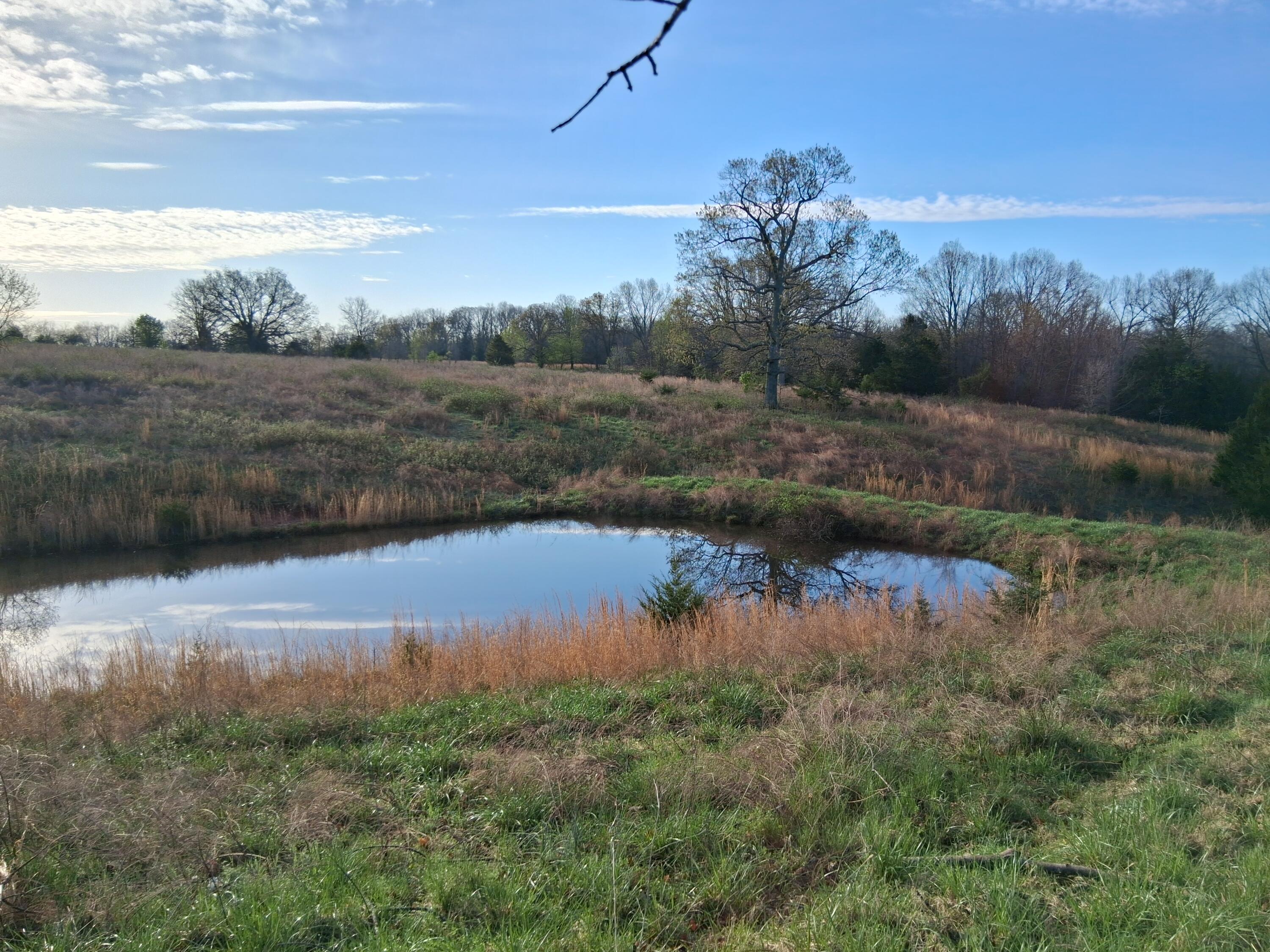 000 County Road 7080 Property Photo 17