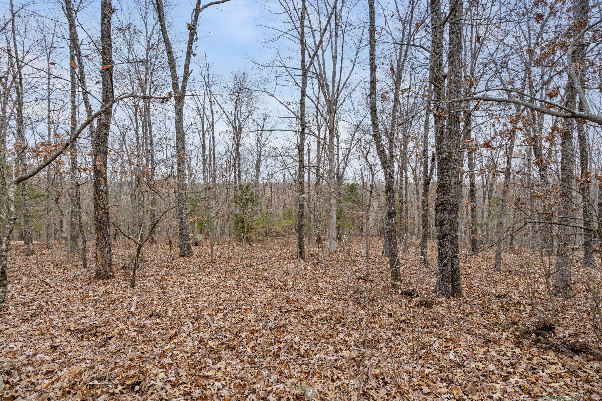 000 Farm Road 1232 Property Photo