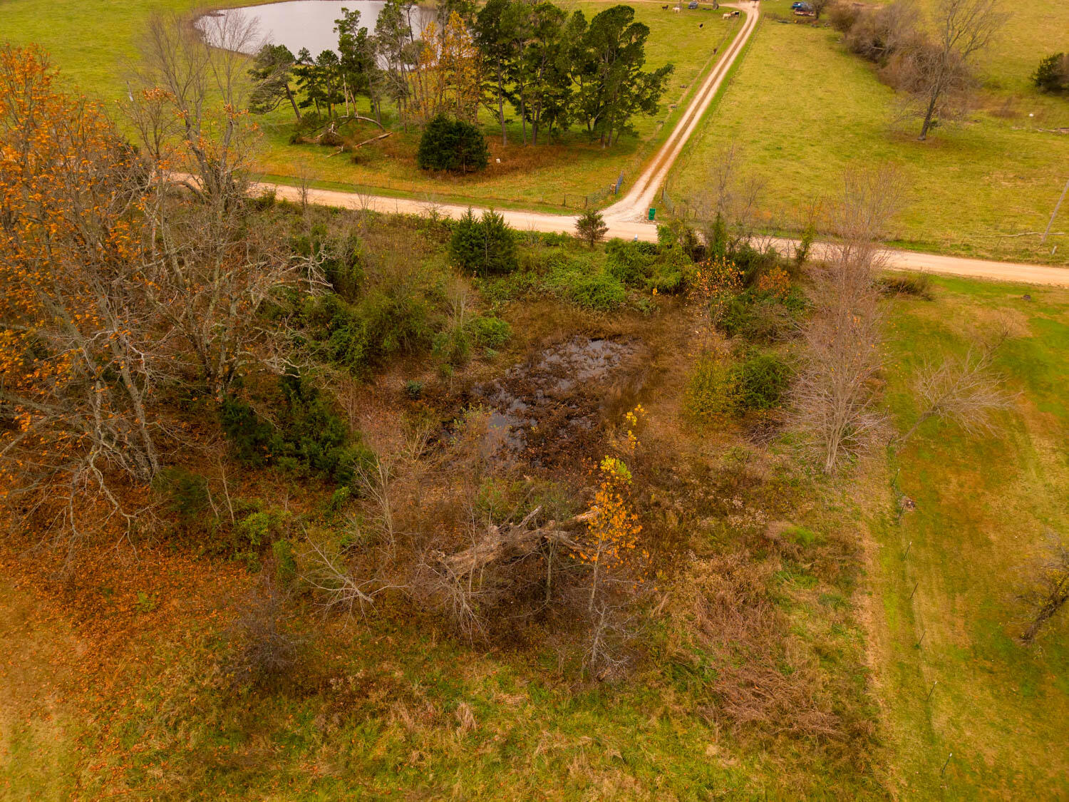 8806 County Road 9460 Property Photo 41