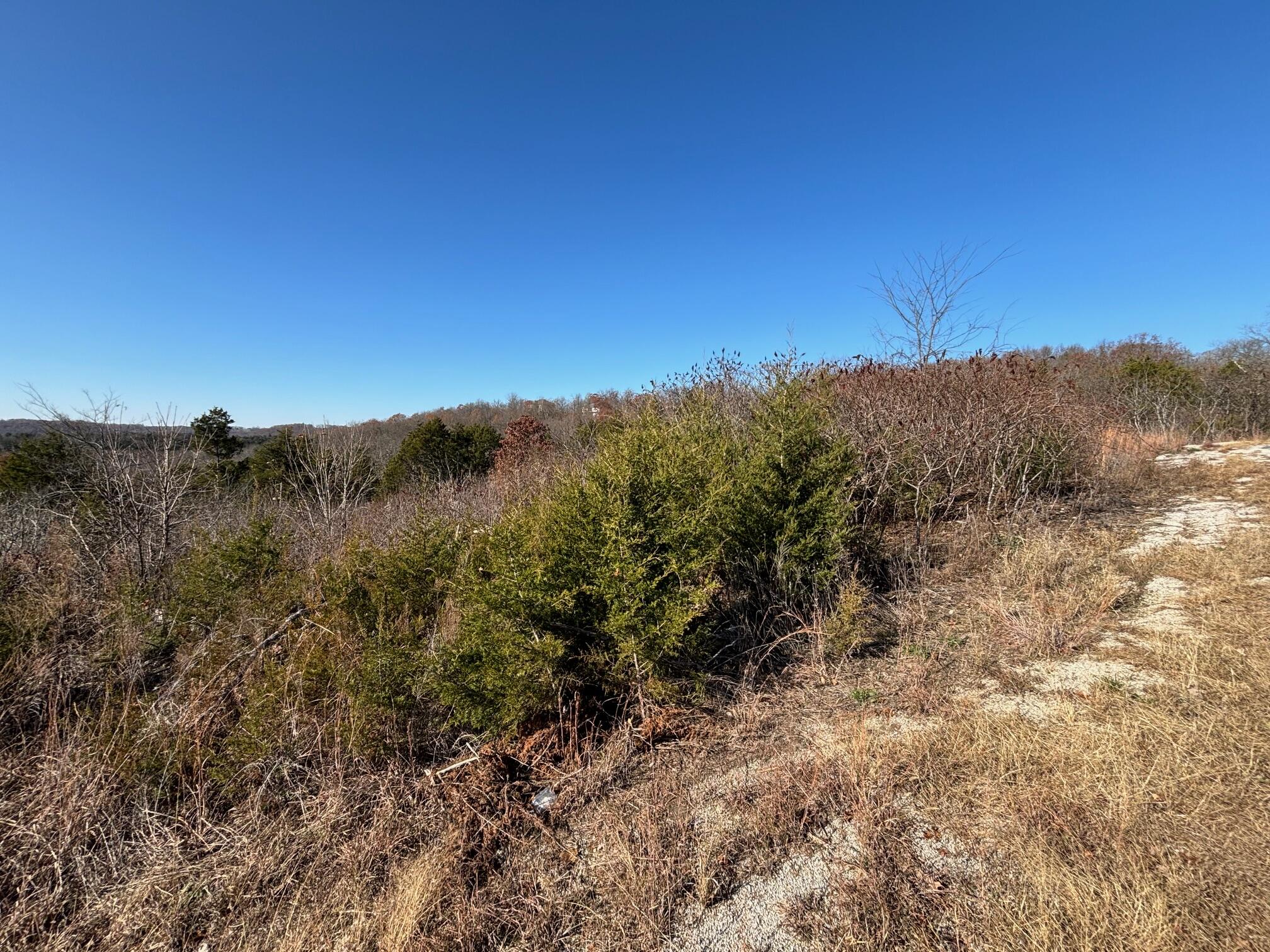 645 Timberland Trail Property Photo 2
