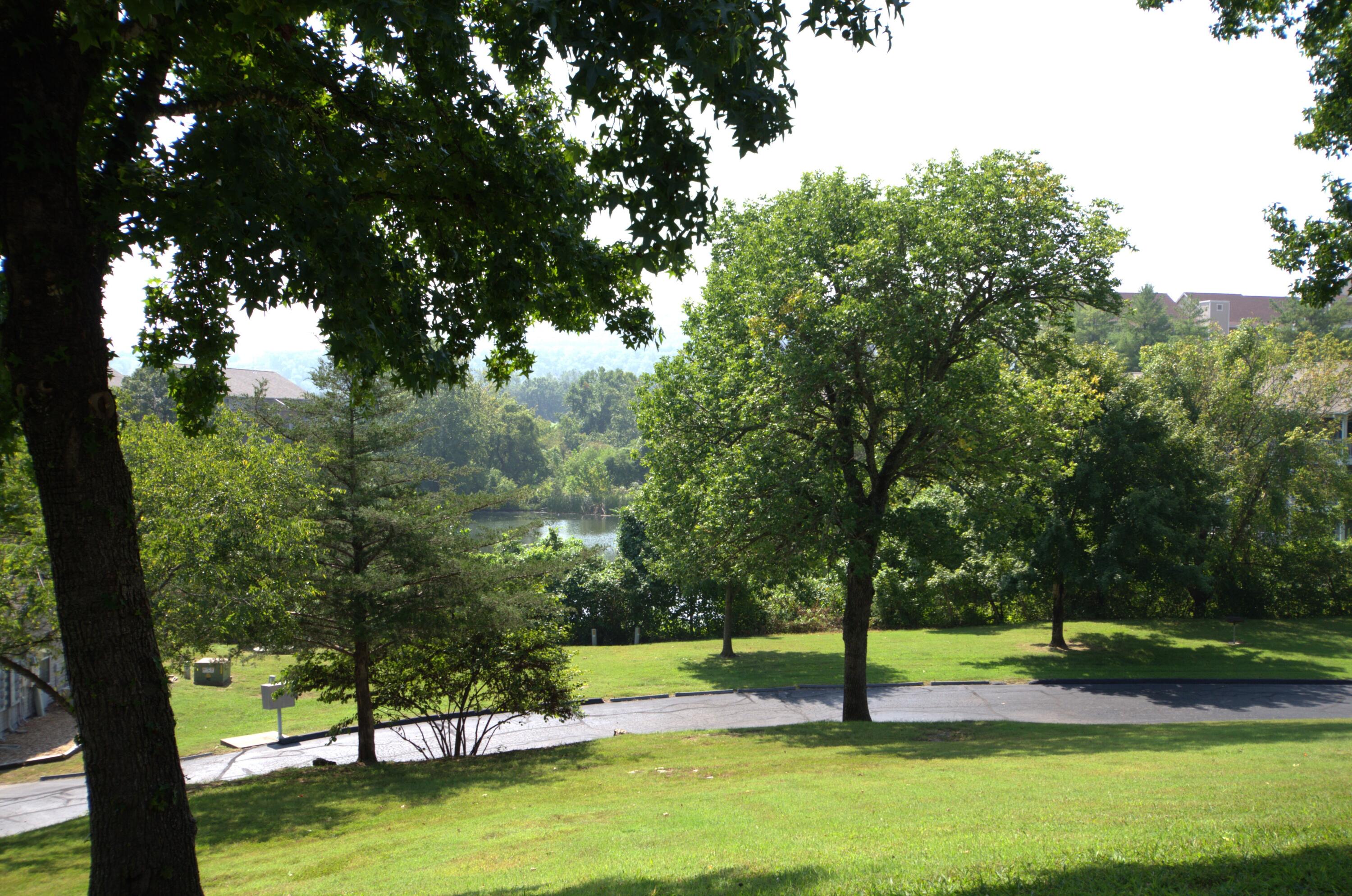 4 Memory Lane Property Photo 21