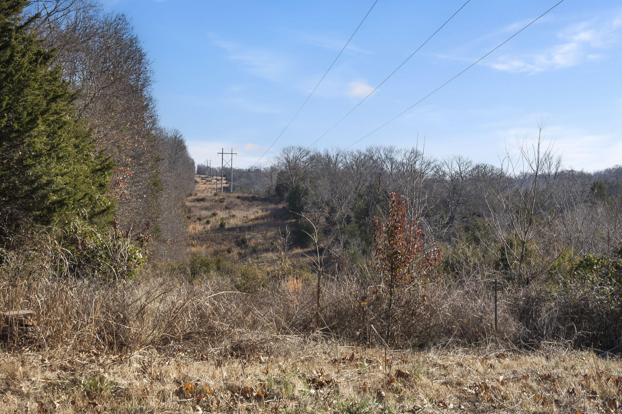 245 Country Hills Drive Property Photo 37