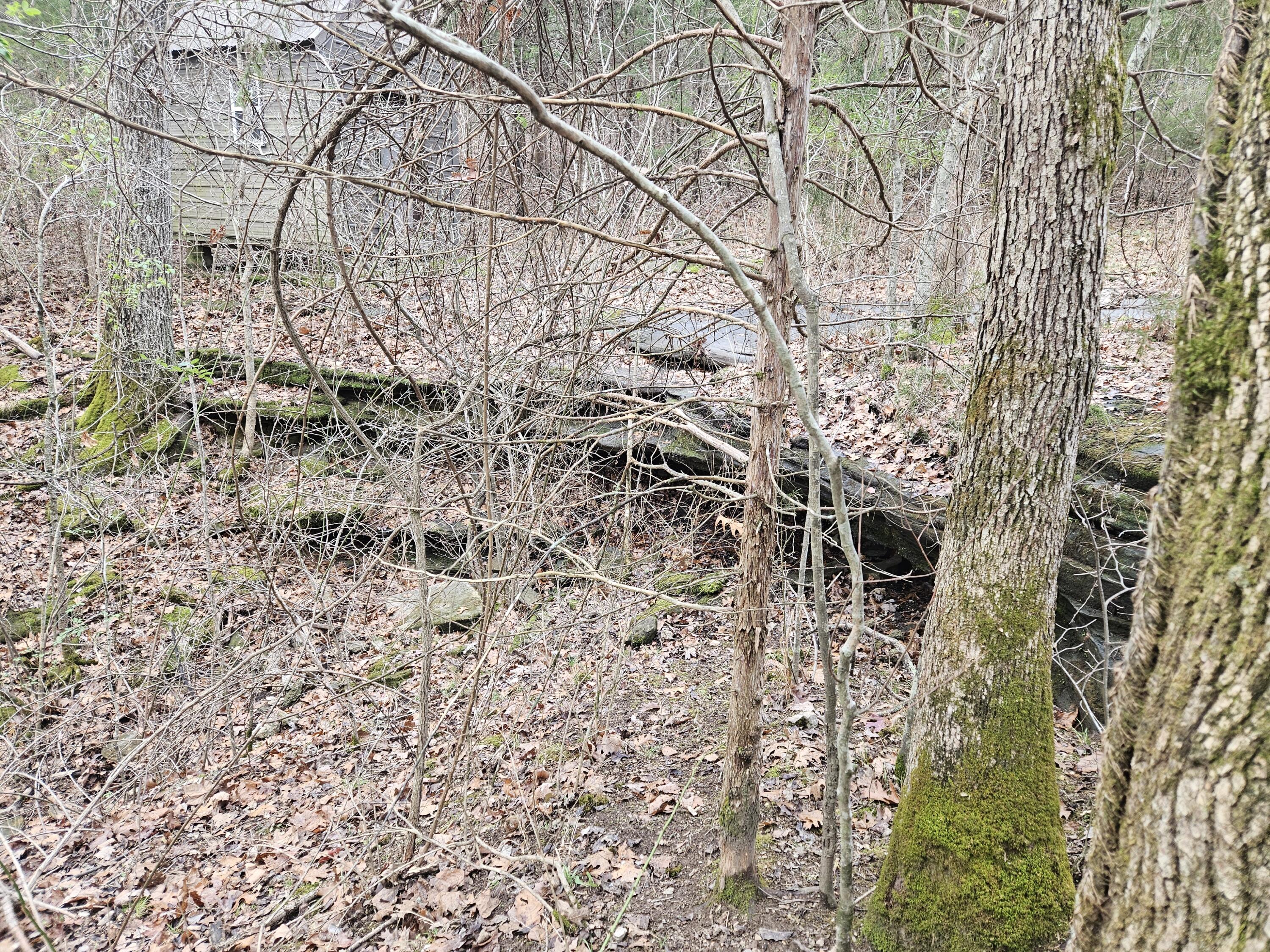 Rr2 Tbd Ff Highway Property Photo 5