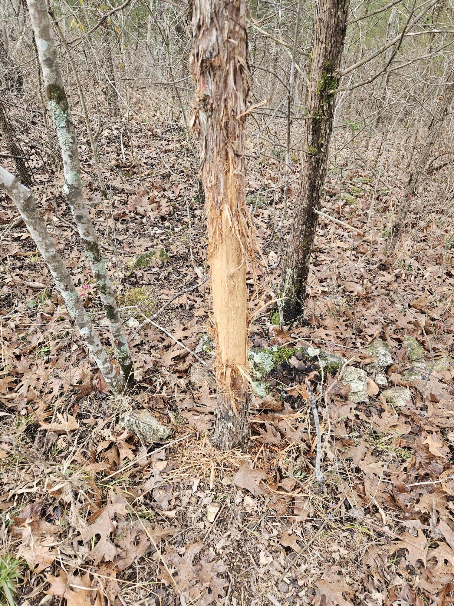 Rr2 Tbd Ff Highway Property Photo 11