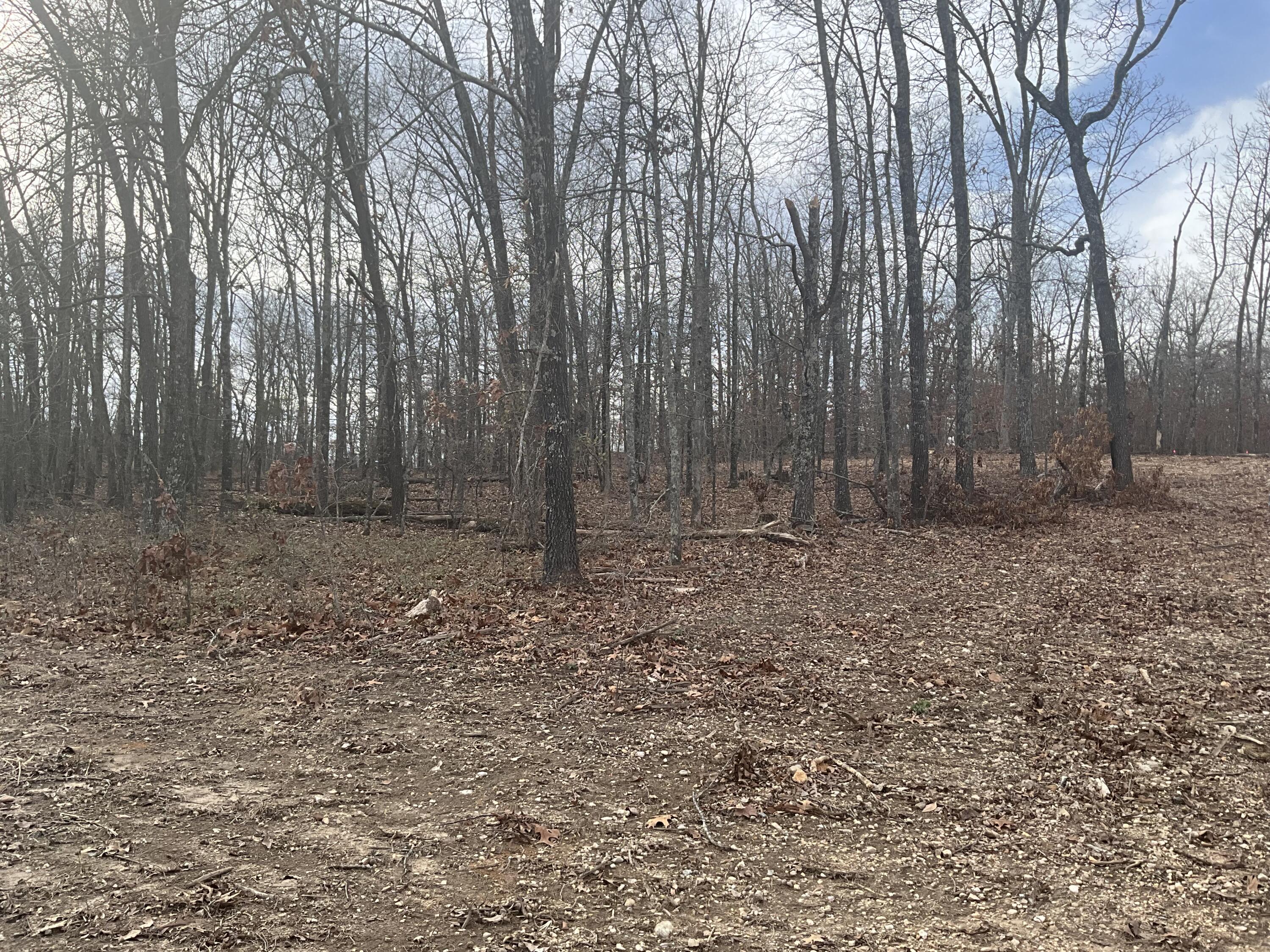 000 Co Rd 8190 Property Photo 12