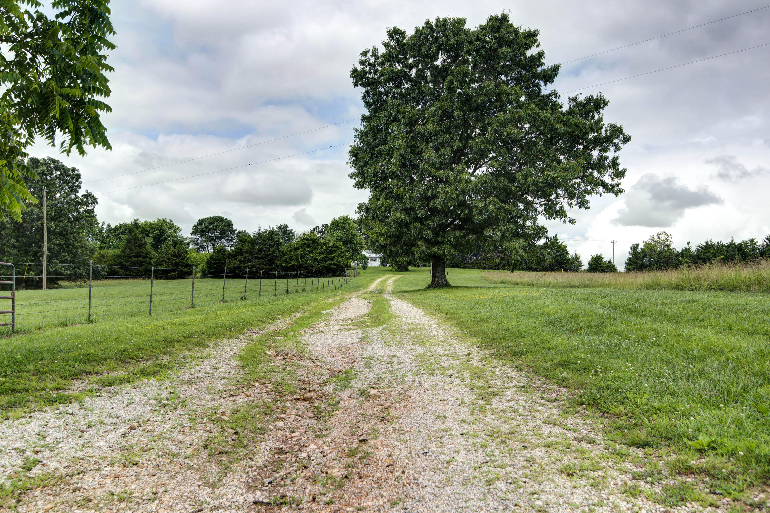 8101 State Highway A Property Photo 3