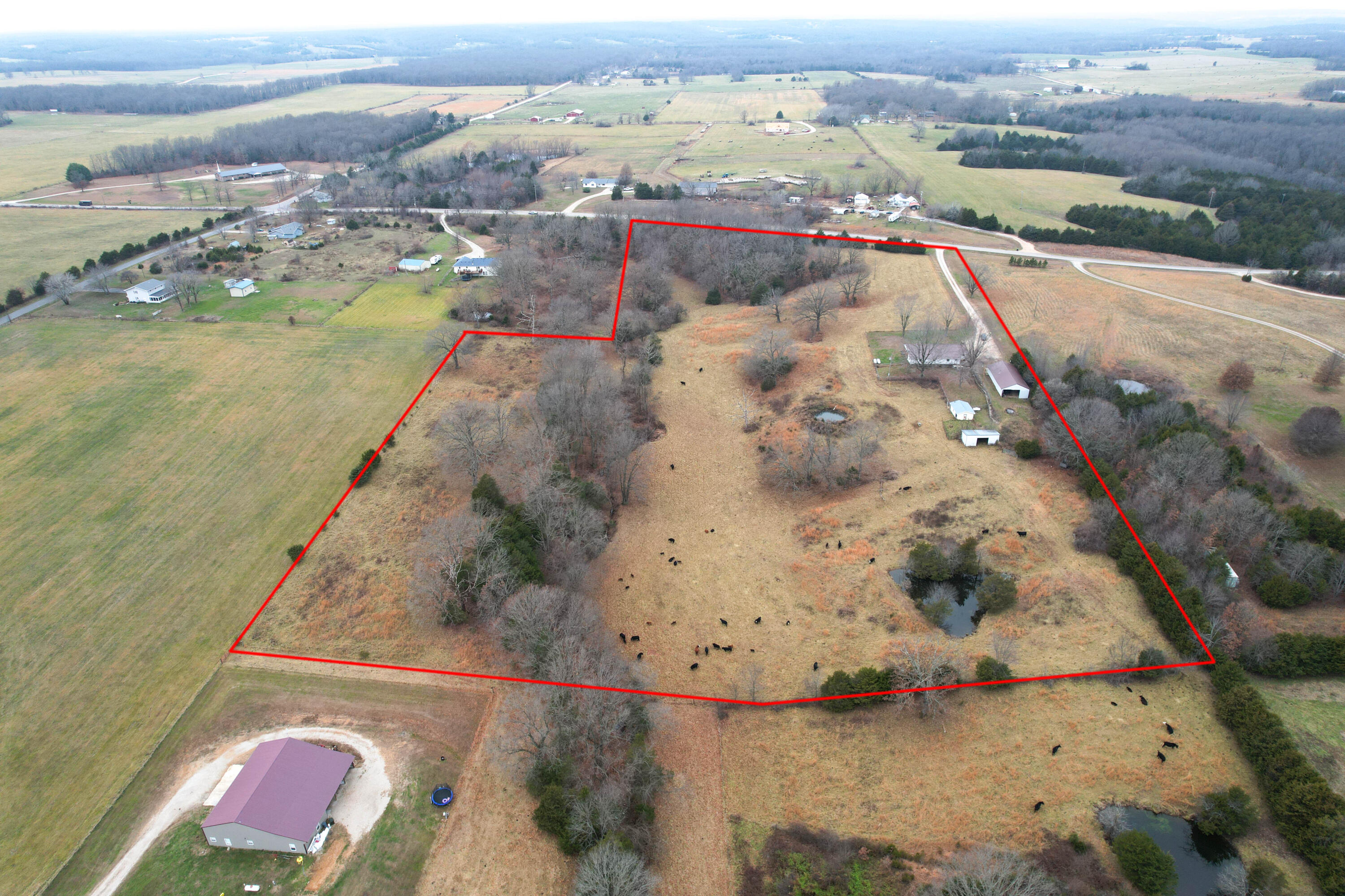8101 State Highway A Property Photo 6