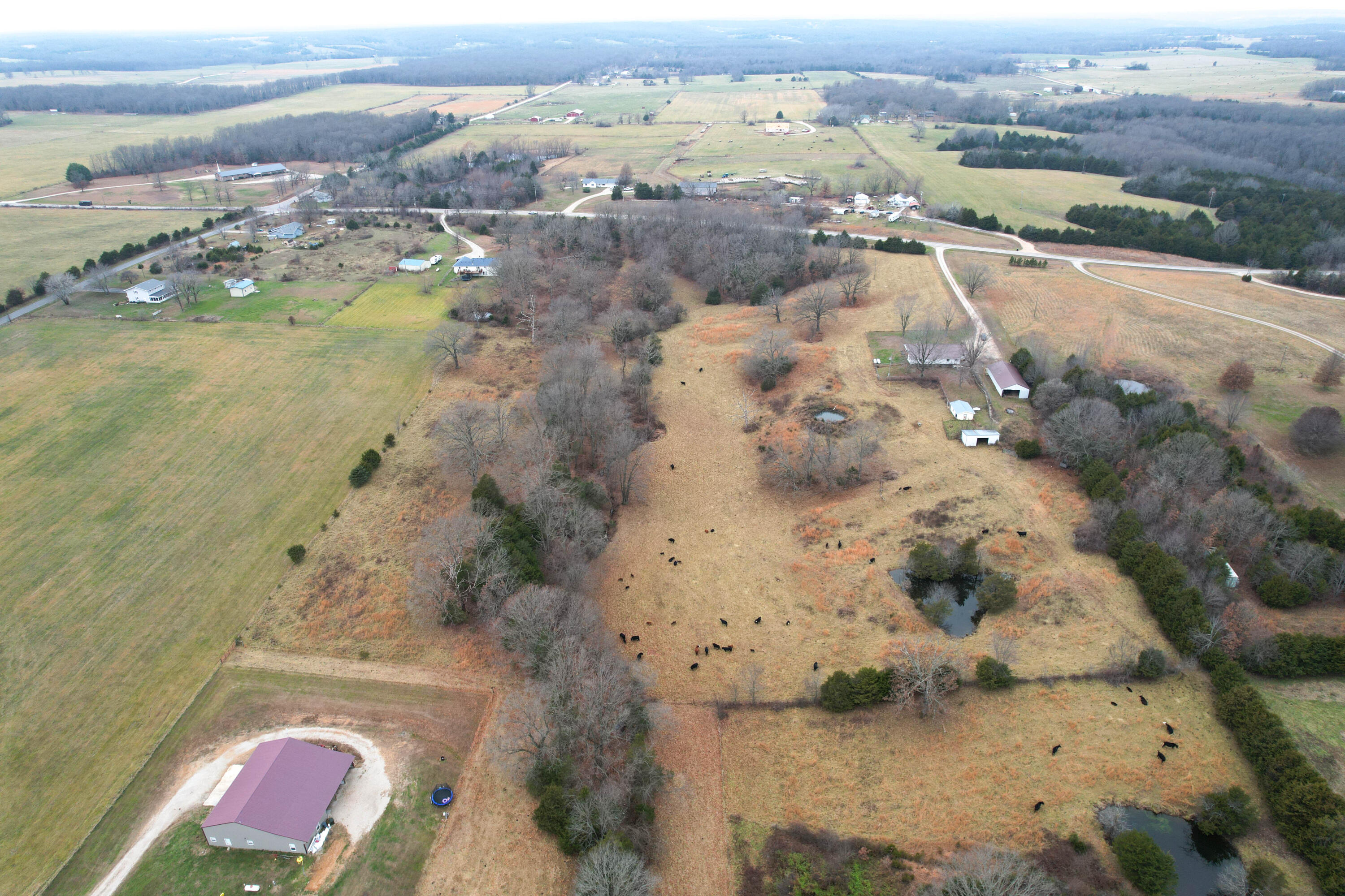 8101 State Highway A Property Photo 7