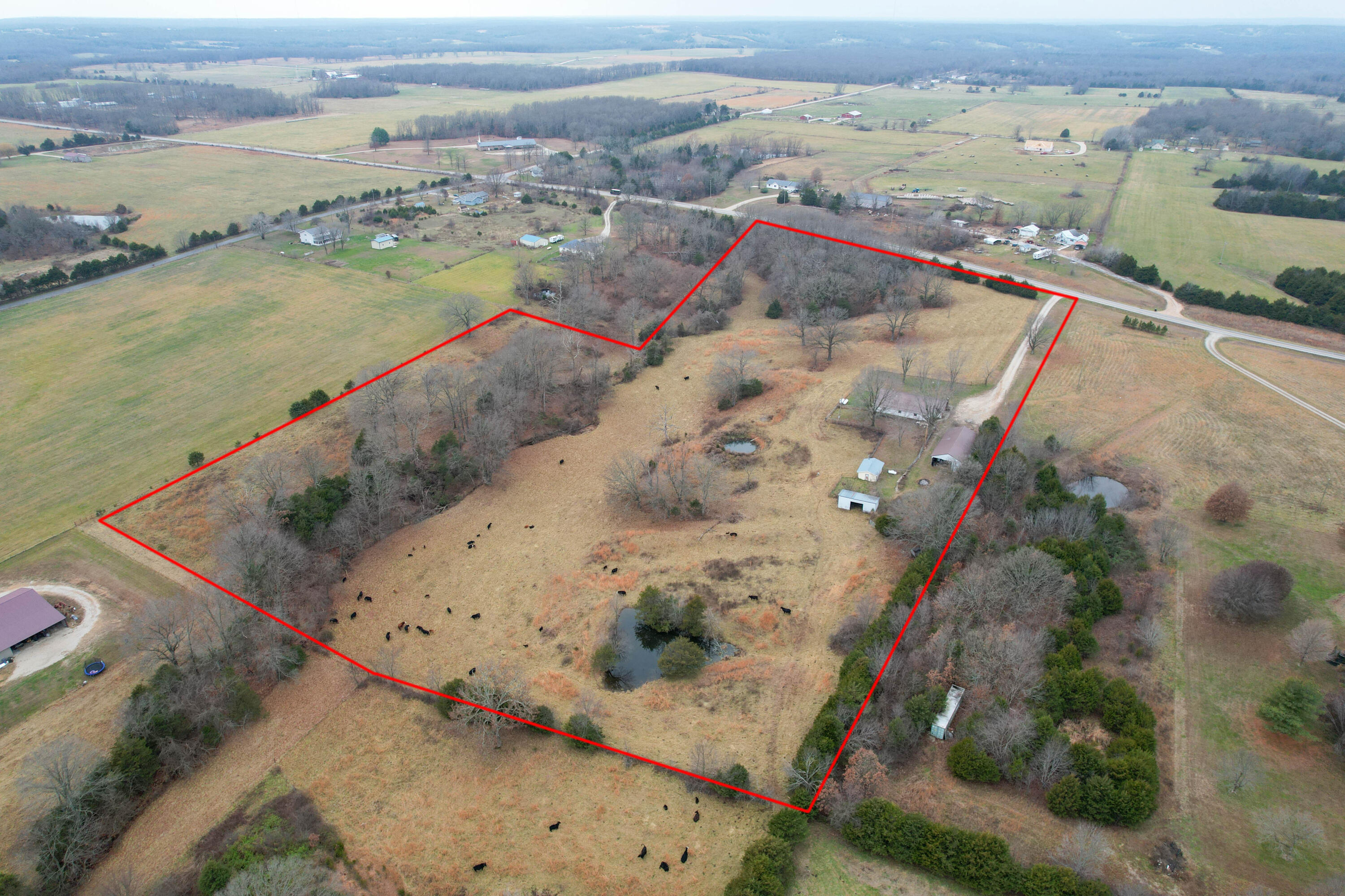 8101 State Highway A Property Photo 34