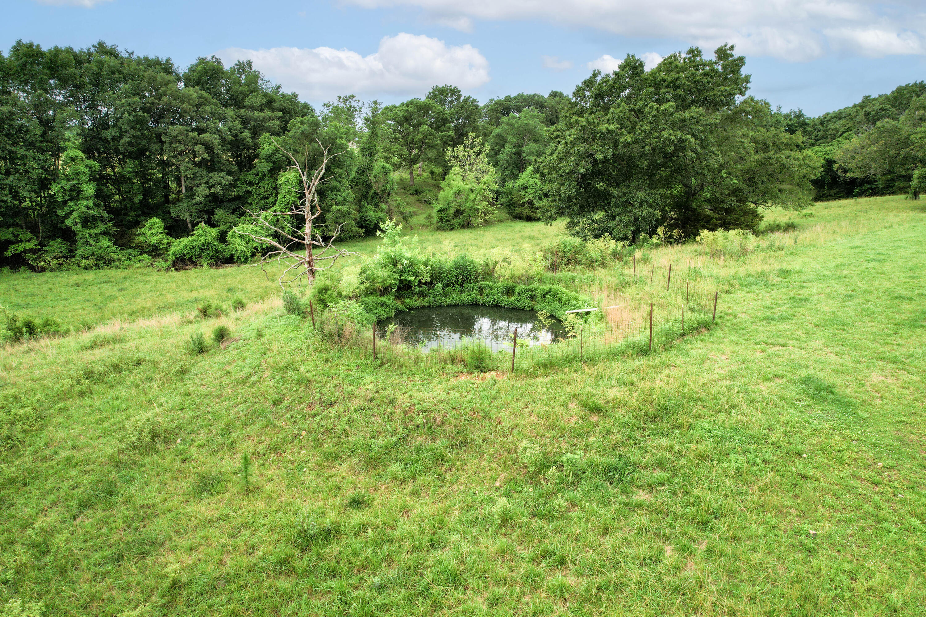 8101 State Highway A Property Photo 39