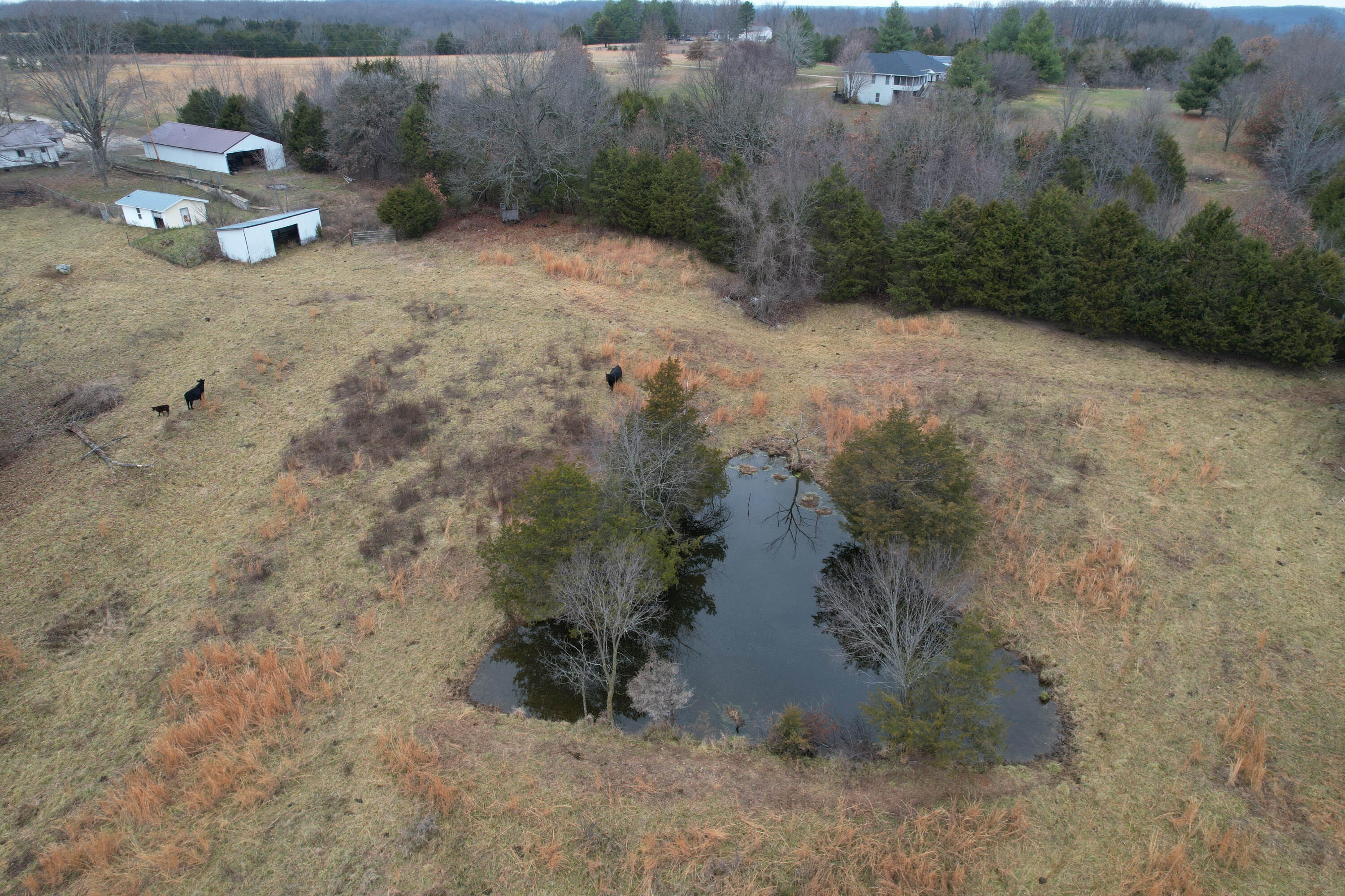 8101 State Highway A Property Photo 44