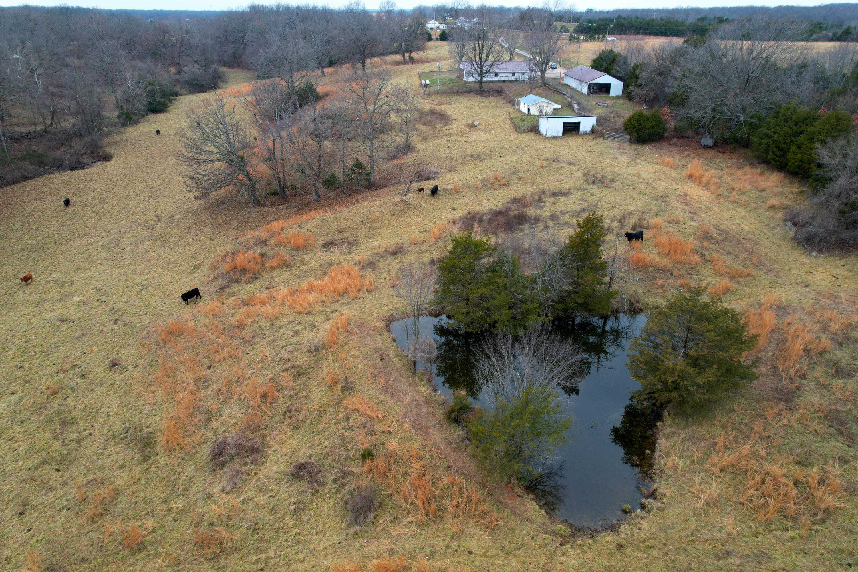8101 State Highway A Property Photo 45