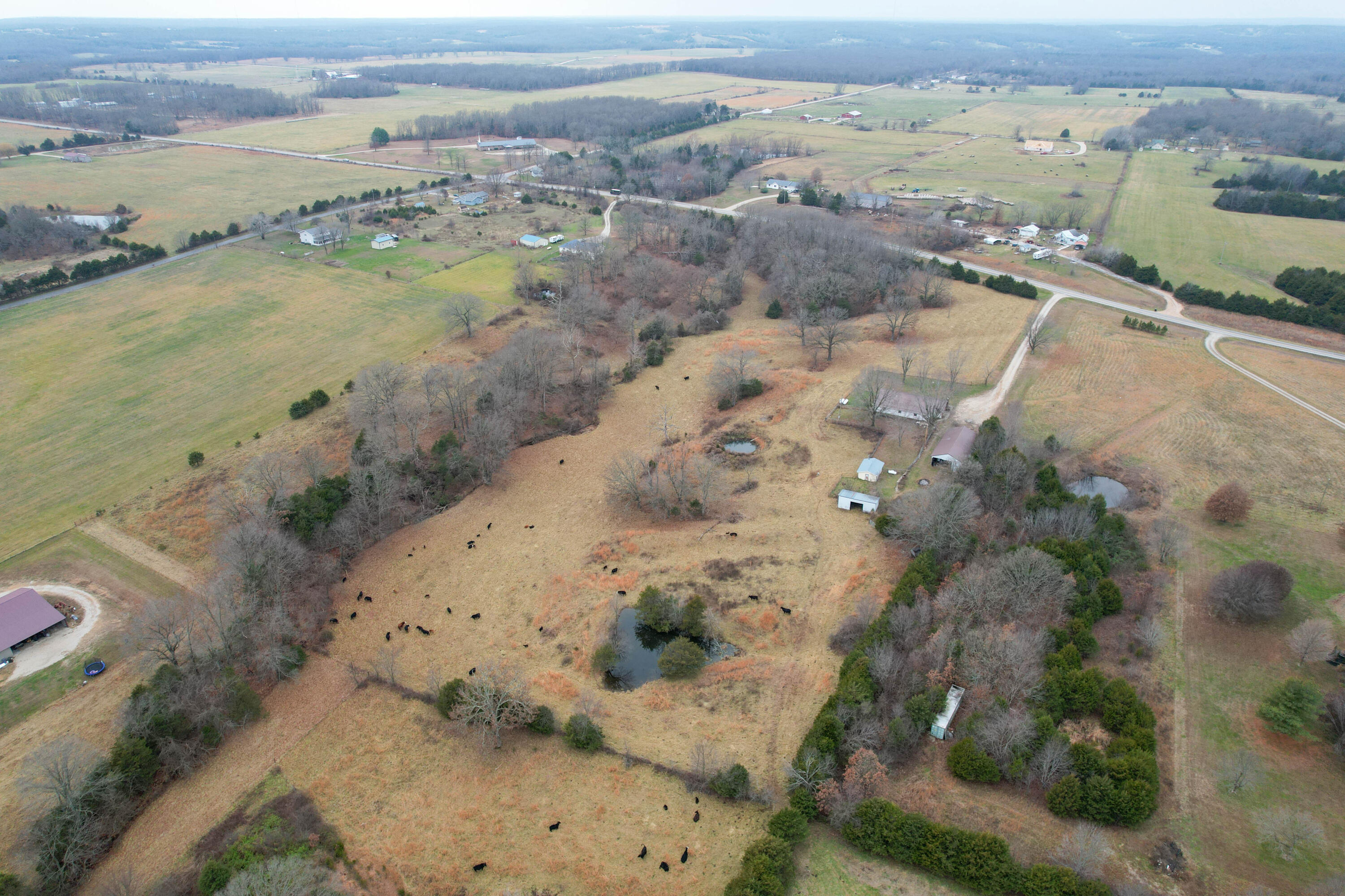 8101 State Highway A Property Photo 46