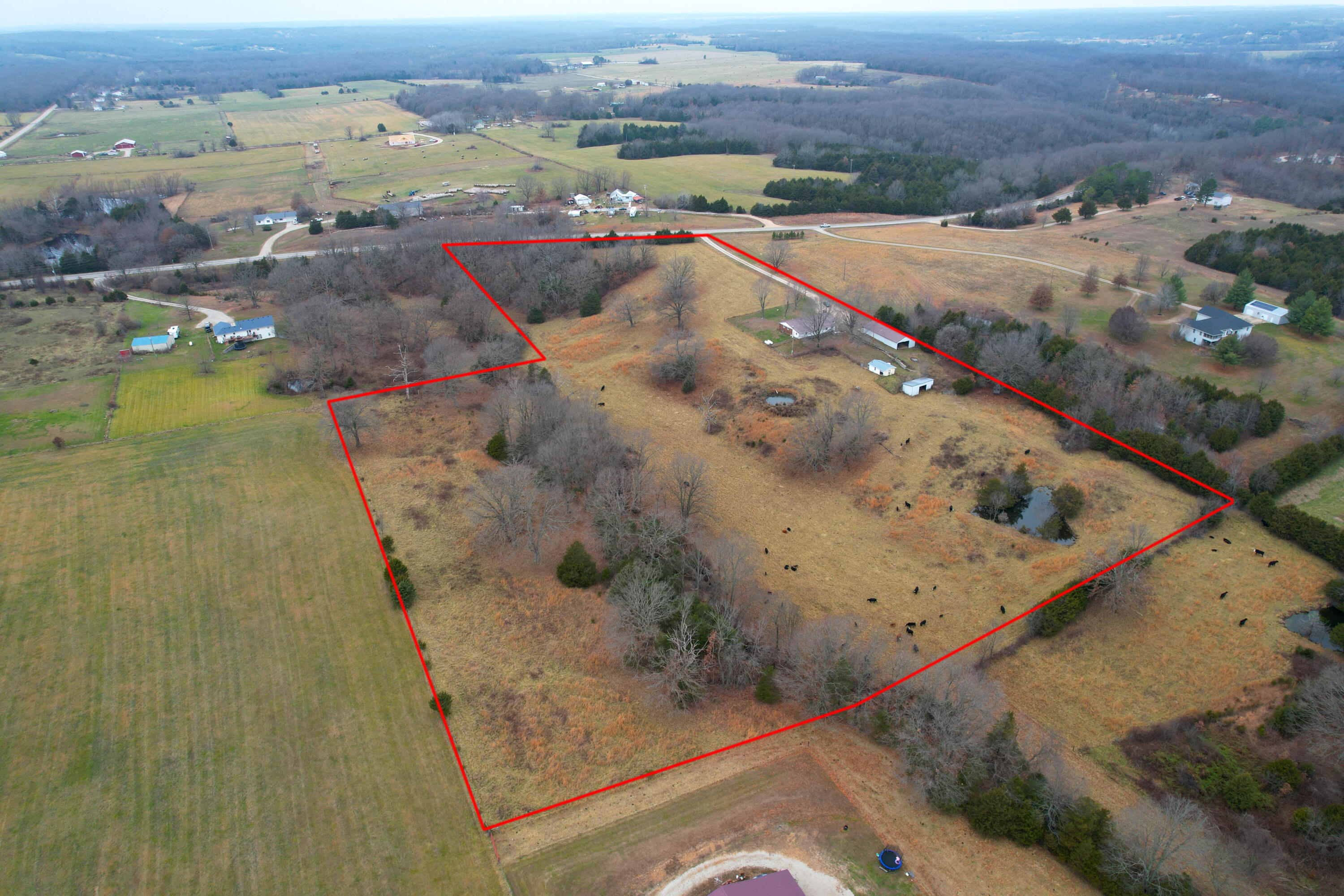 8101 State Highway A Property Photo 47
