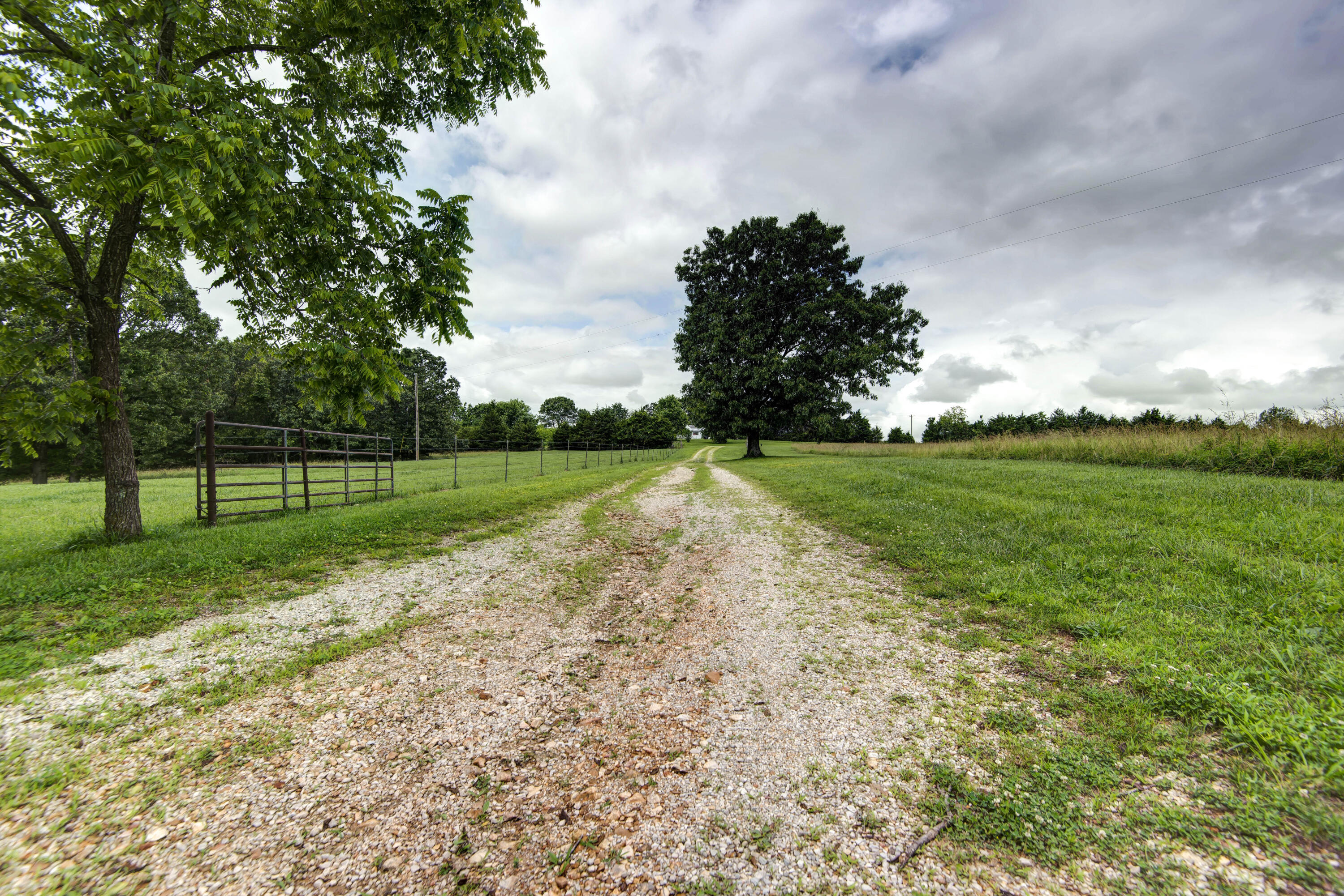 8101 State Highway A Property Photo 48
