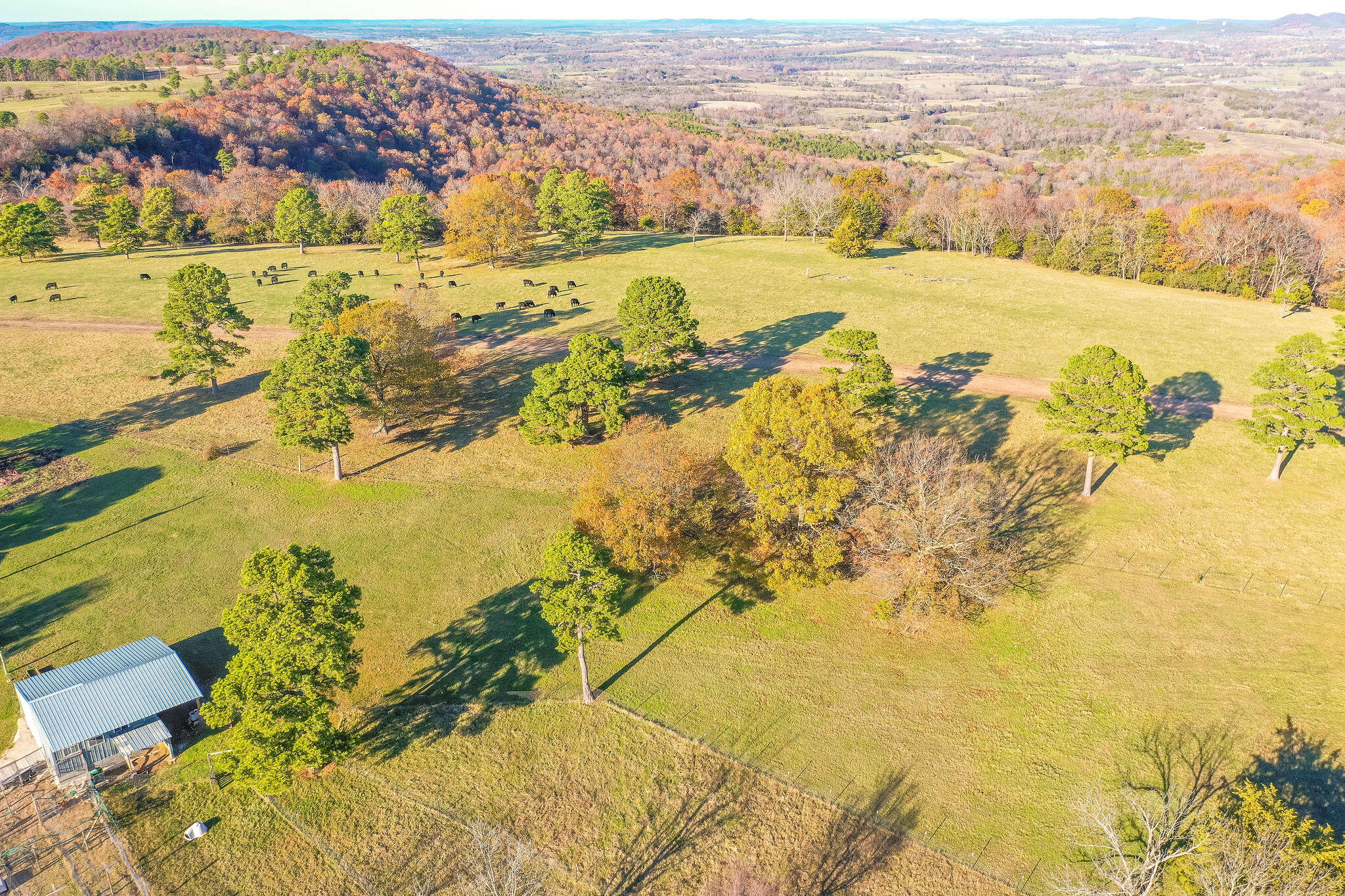 2333 County Road 507 Property Photo 5