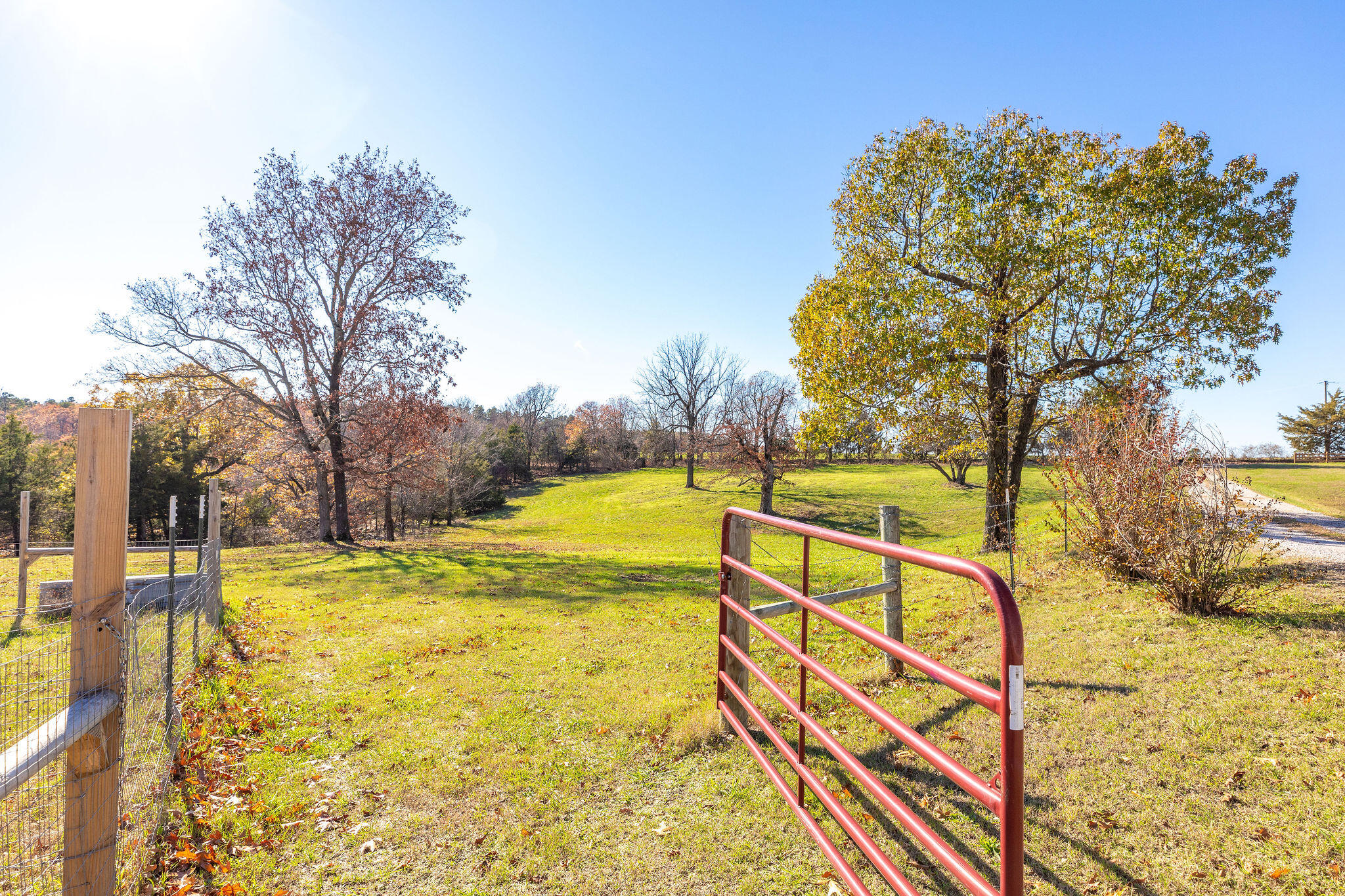 2333 County Road 507 Property Photo 13