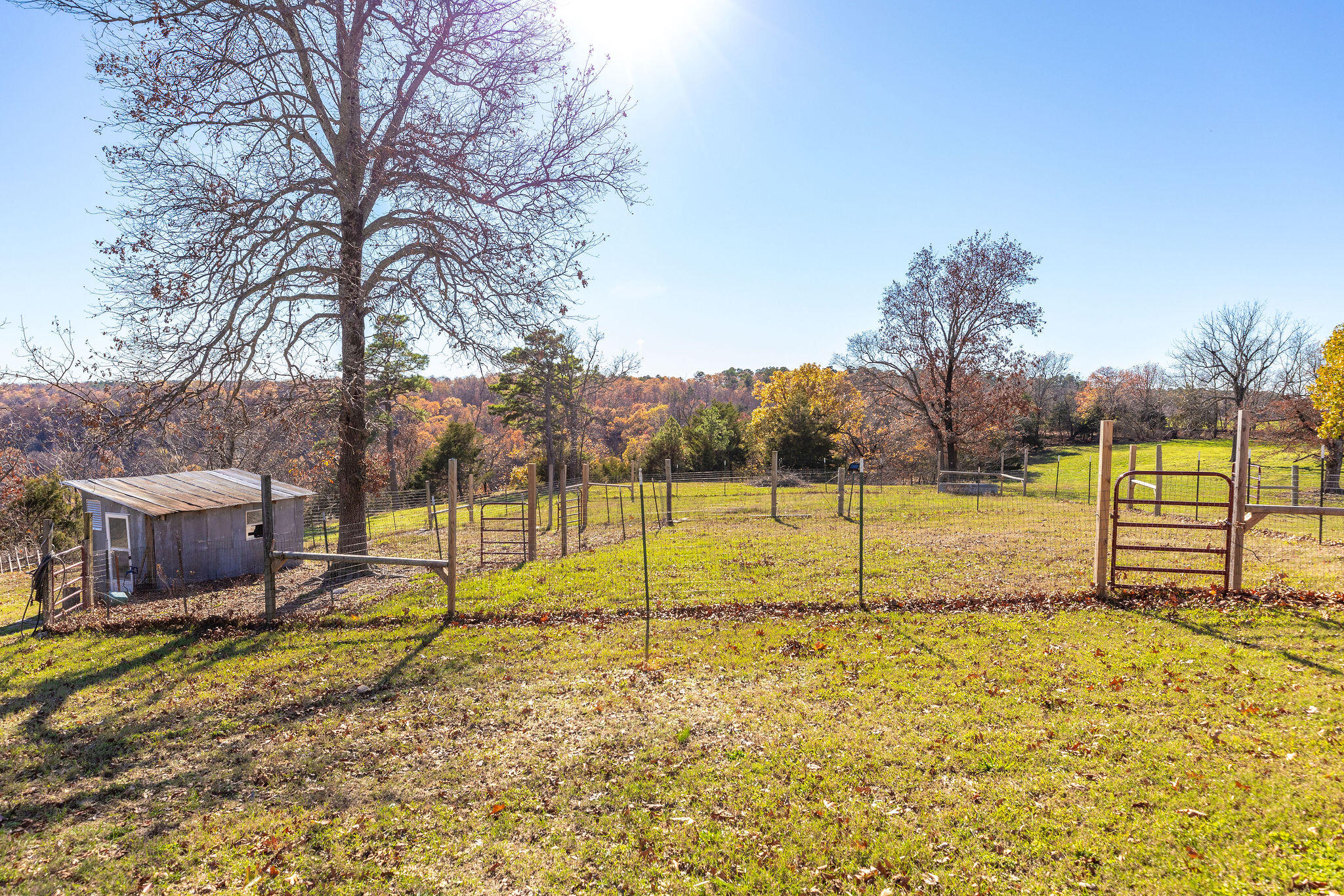 2333 County Road 507 Property Photo 15