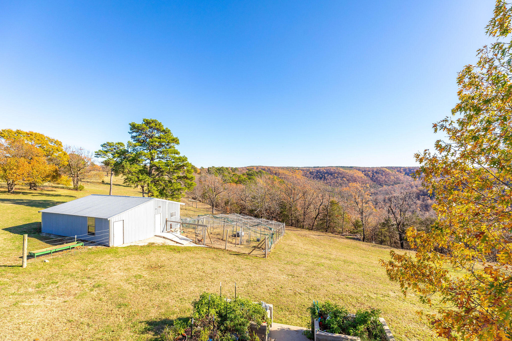 2333 County Road 507 Property Photo 60