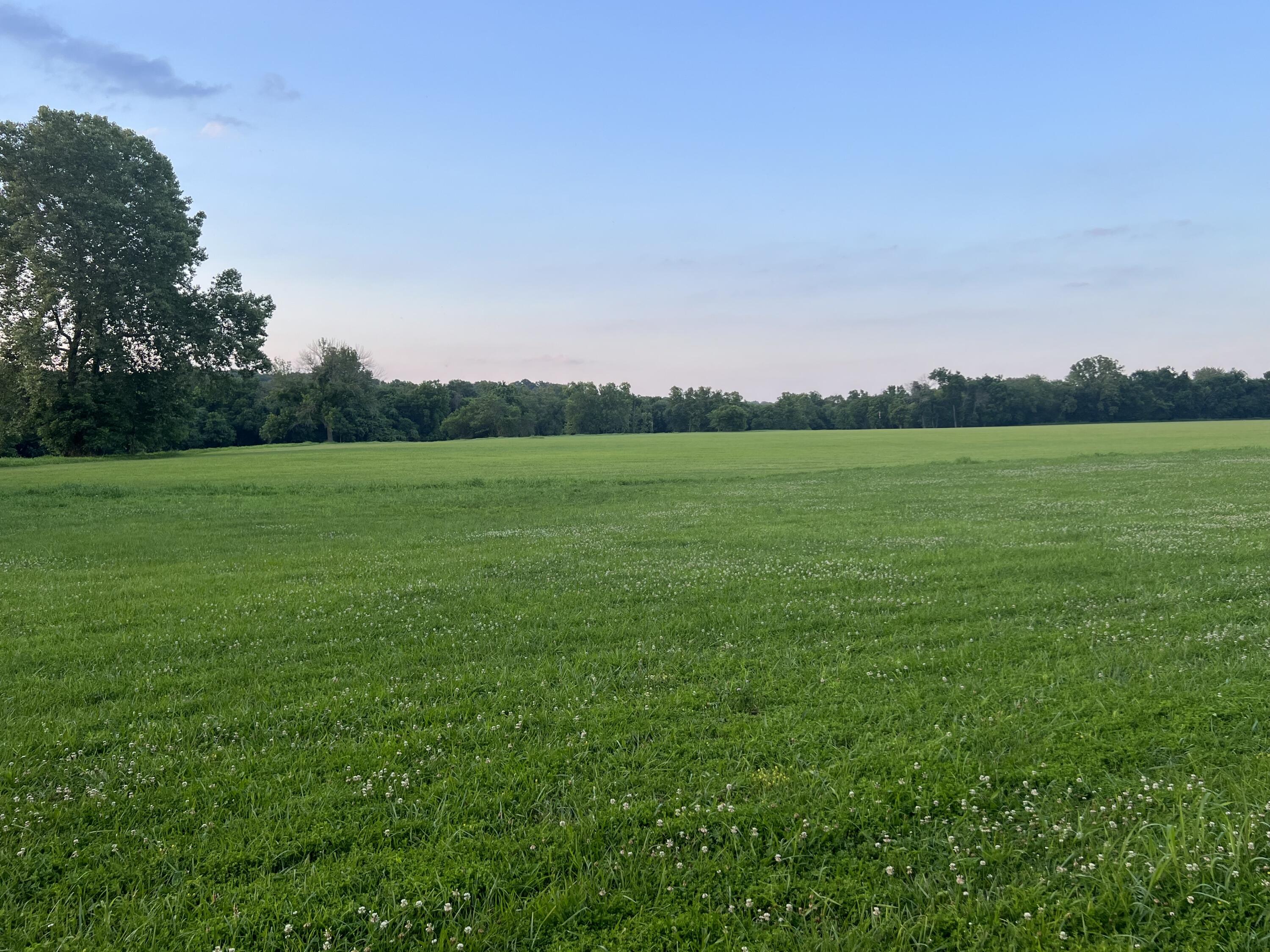 Lot 4 Riverpointe View Property Photo 16