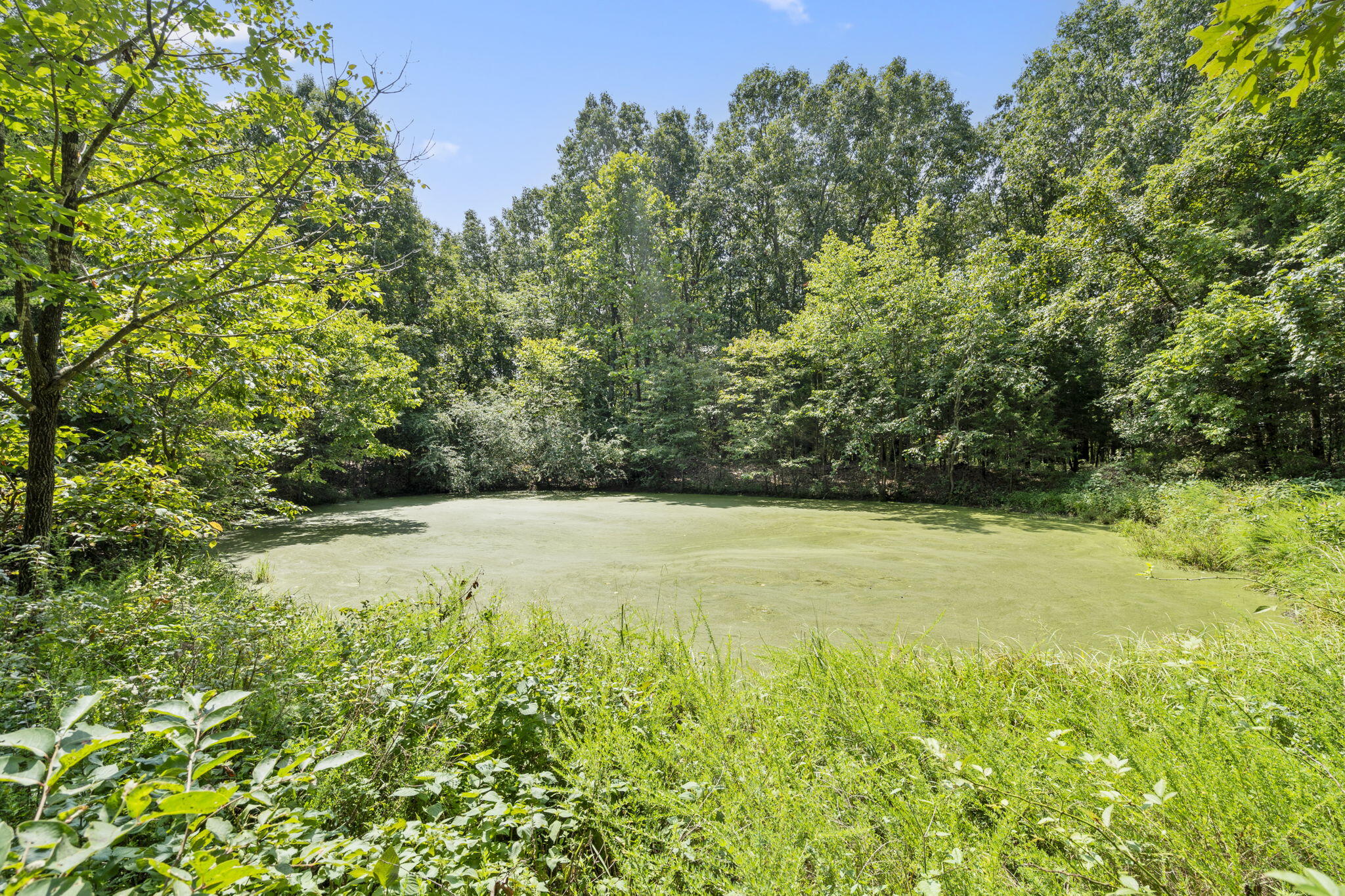 Tract 7a Route 4 Property Photo 2