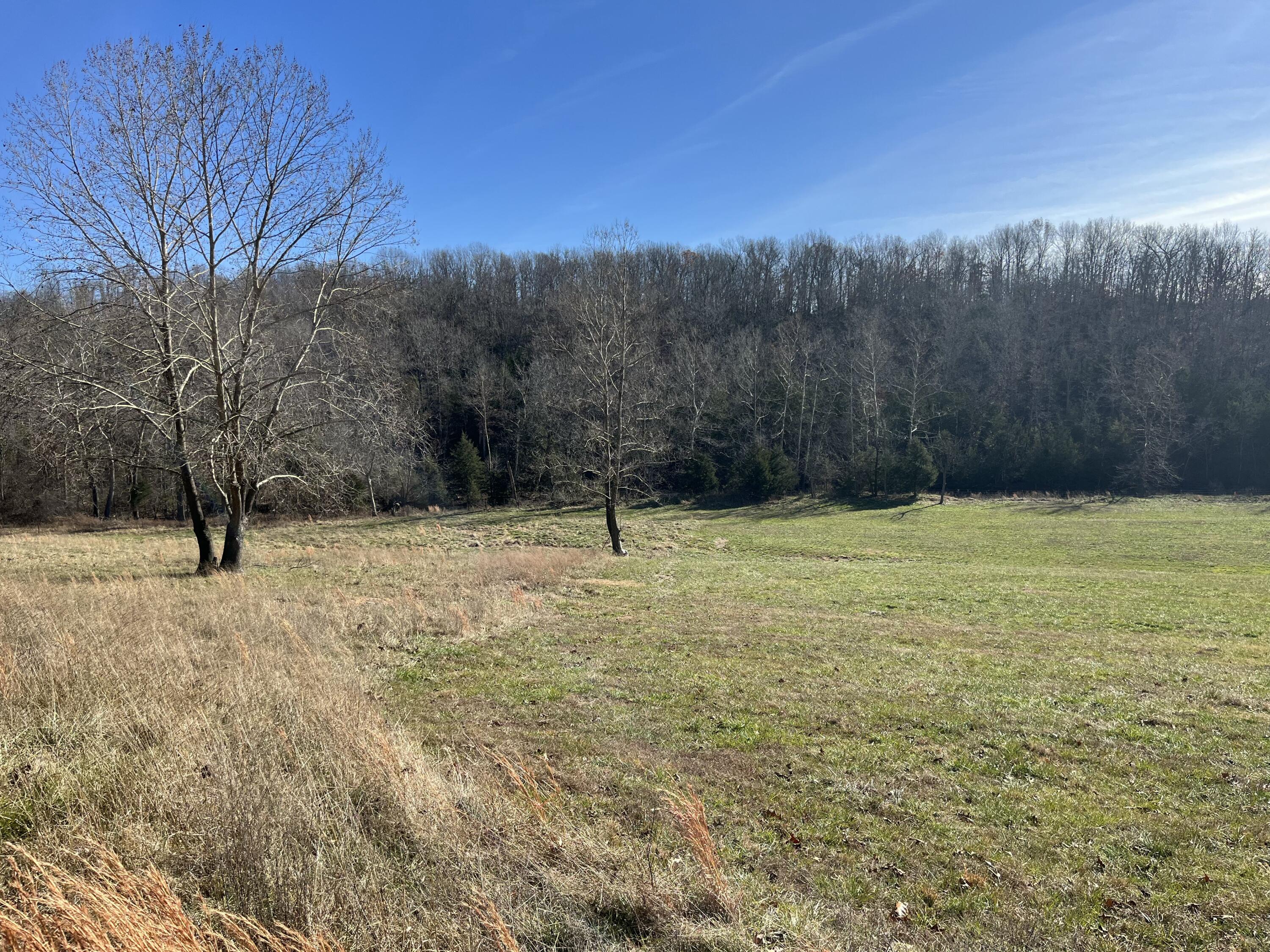 Tract 7a Route 4 Property Photo 4
