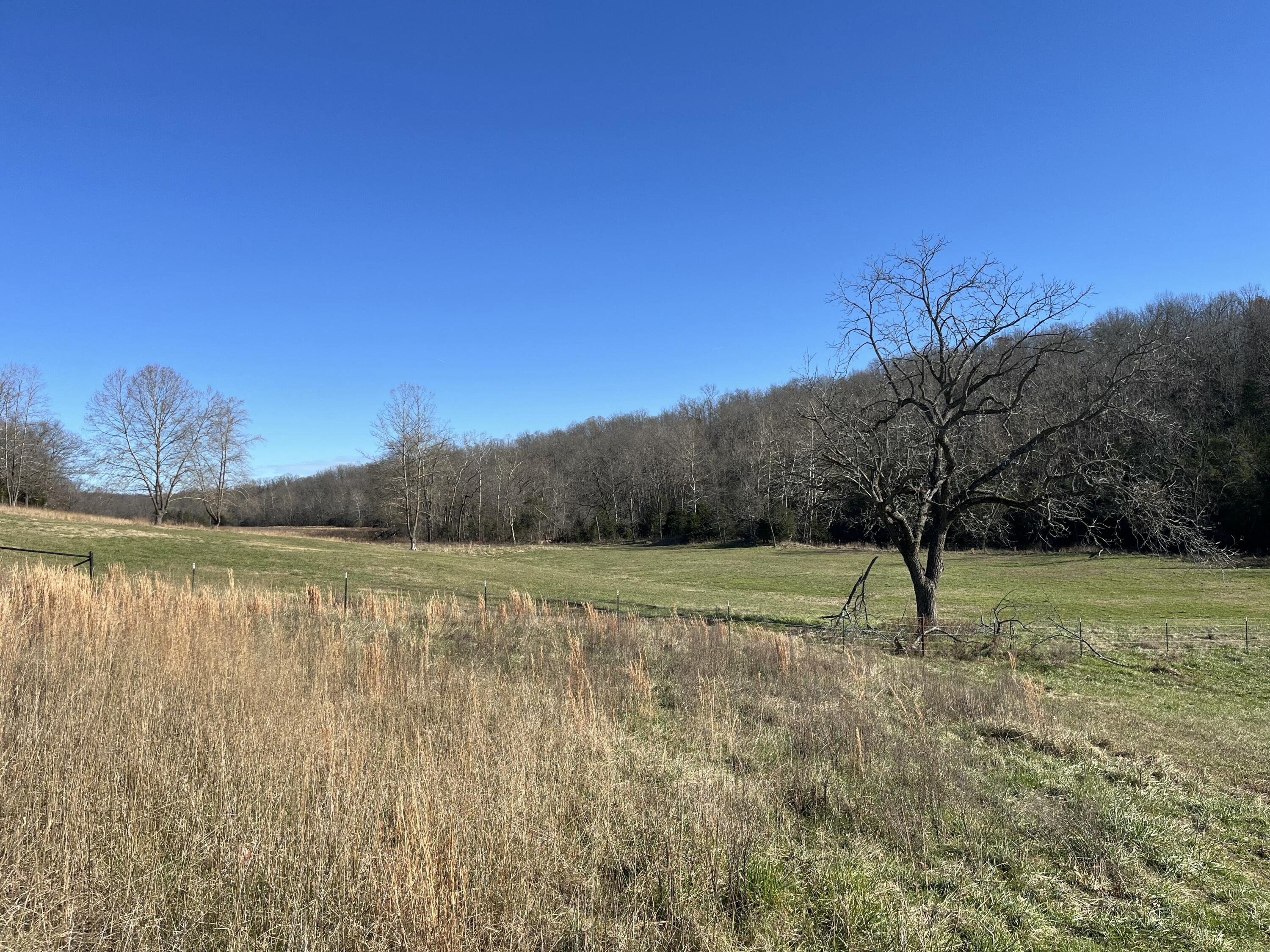 Tract 7a Route 4 Property Photo 5