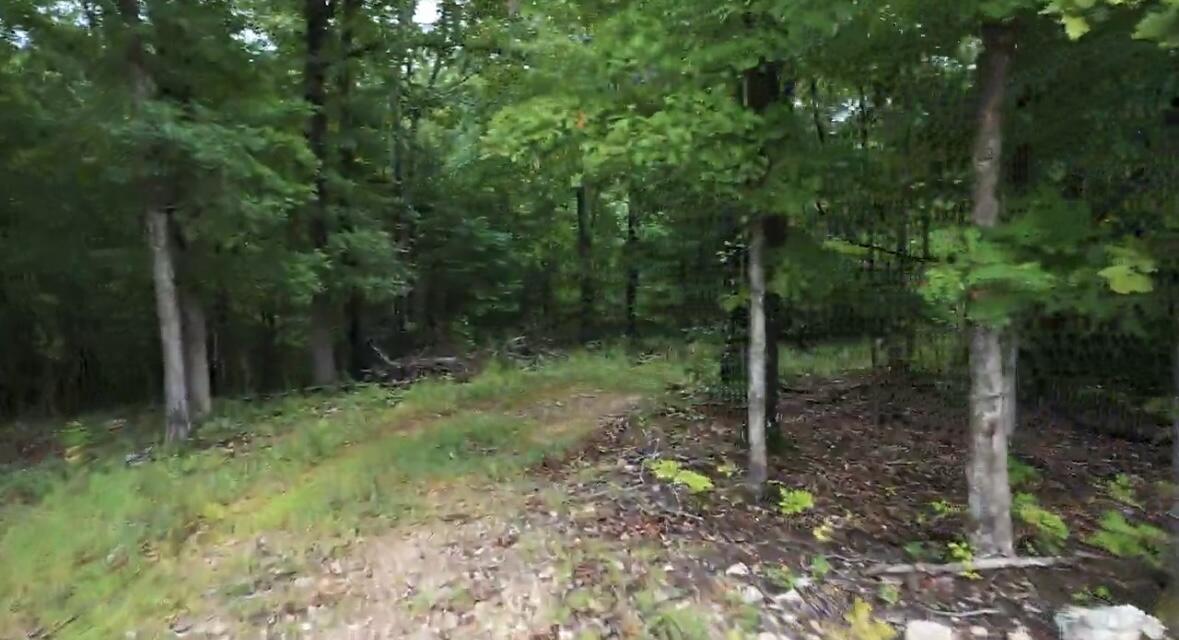 Tract 7a Route 4 Property Photo 7