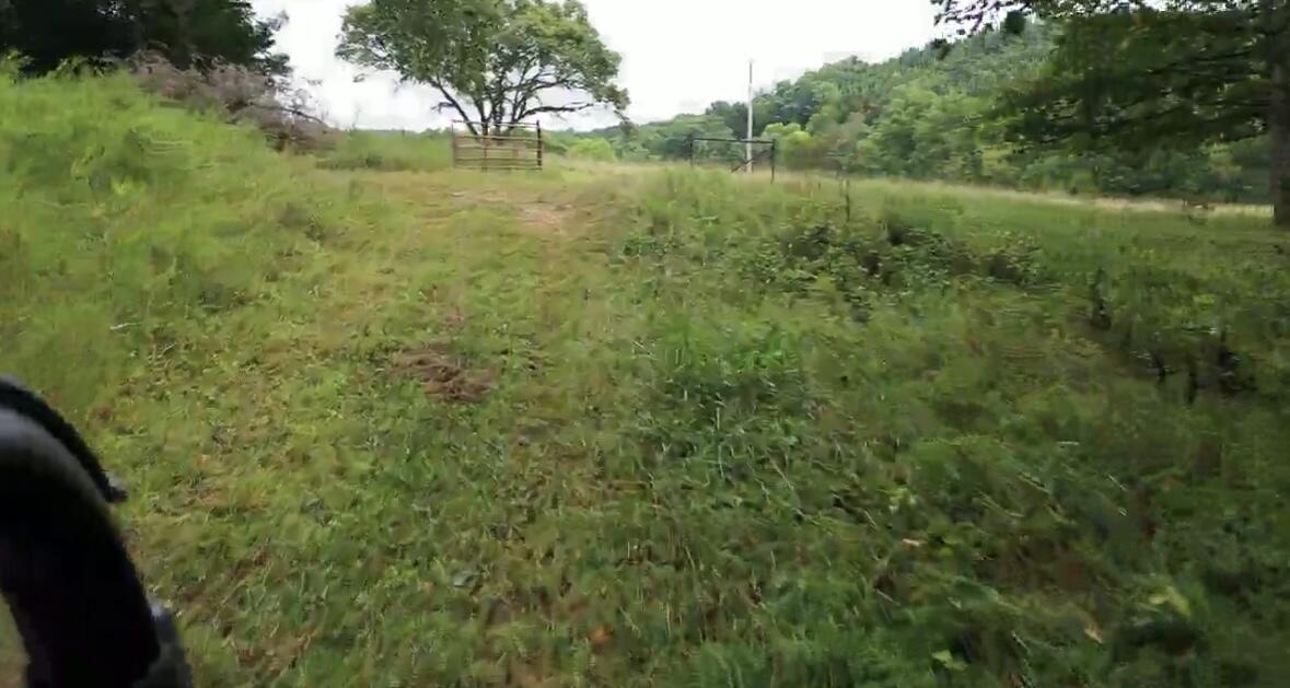 Tract 7a Route 4 Property Photo 8