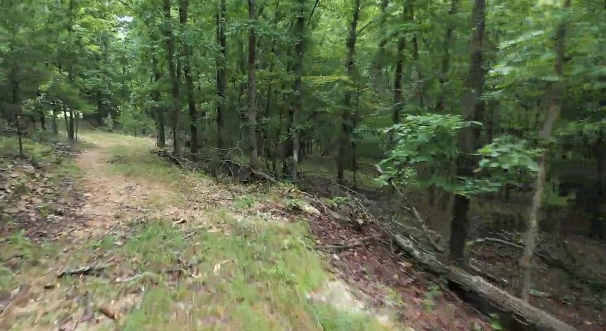 Tract 7a Route 4 Property Photo 9
