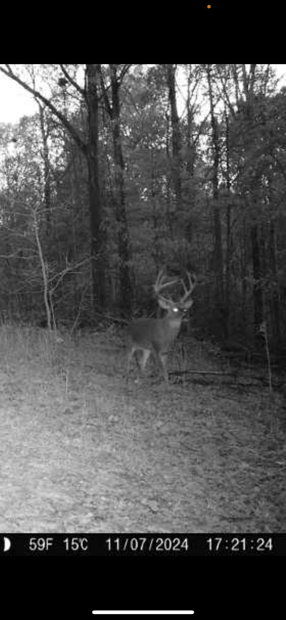 Tract 7a Route 4 Property Photo 11