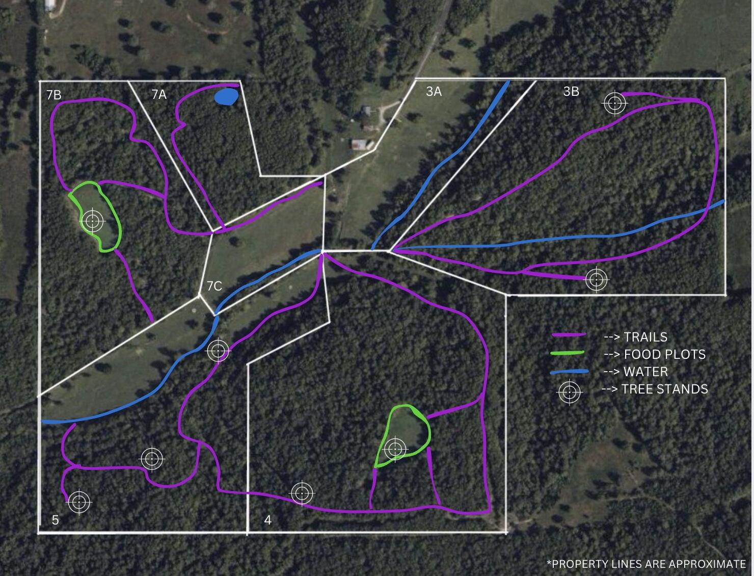 Tract 7a Route 4 Property Photo 13