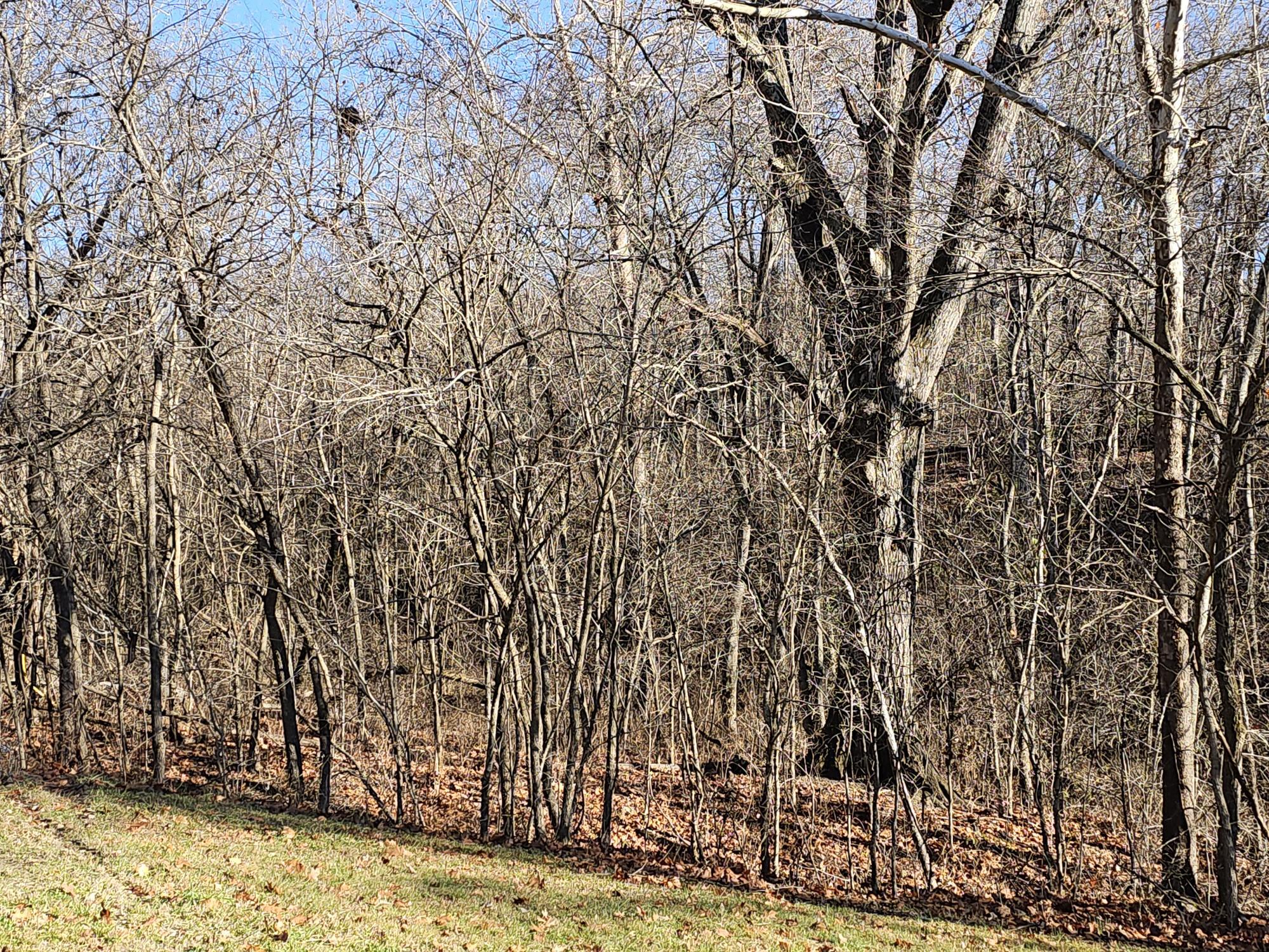 20 Ac Jesse James Road Property Photo 3